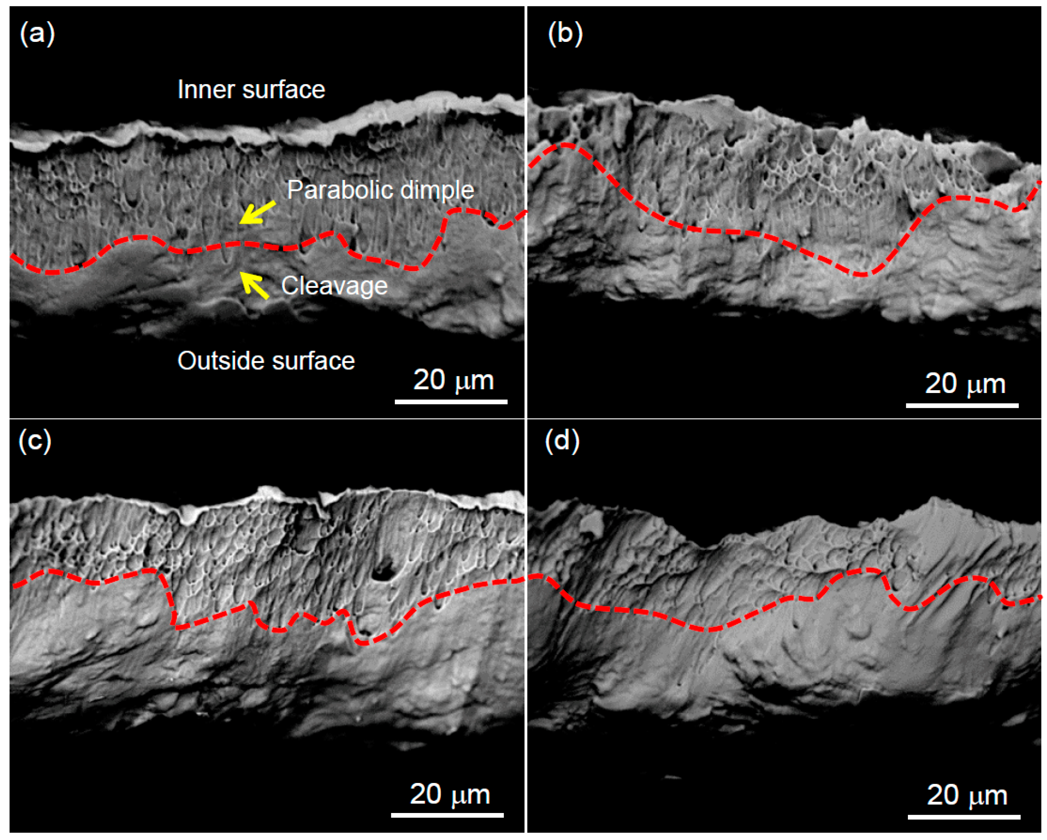 Metals 10 00232 g004