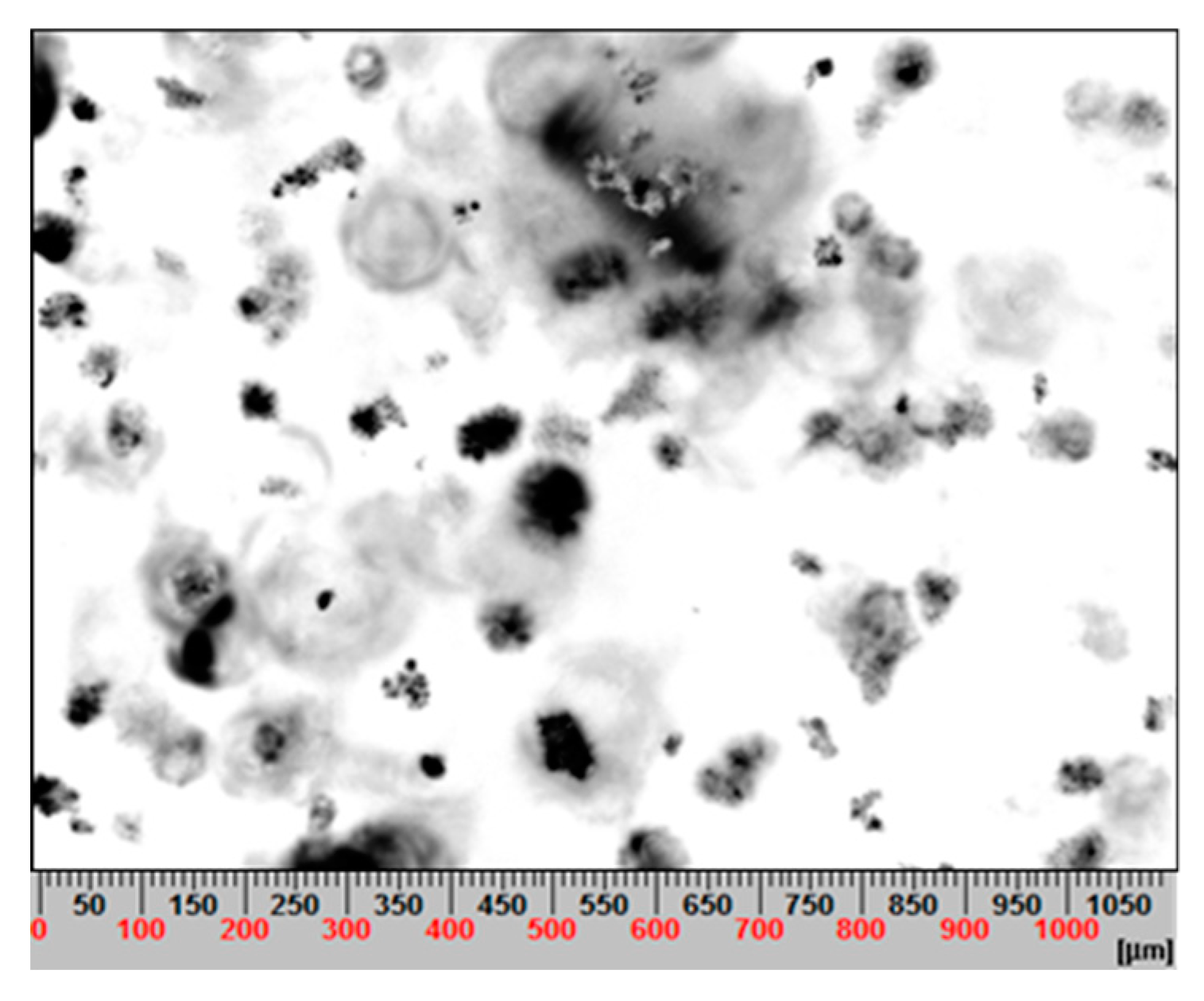 Metals 10 00239 g011