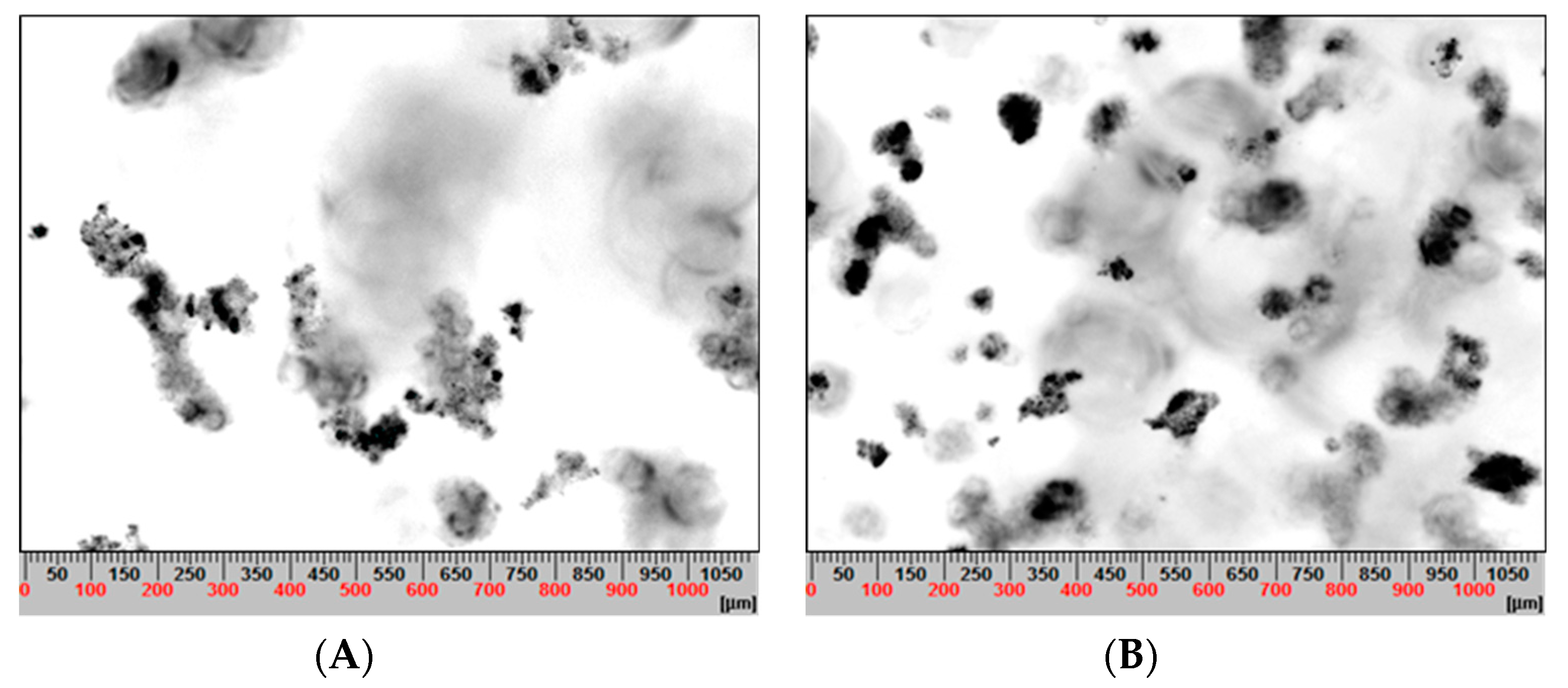 Metals 10 00239 g012