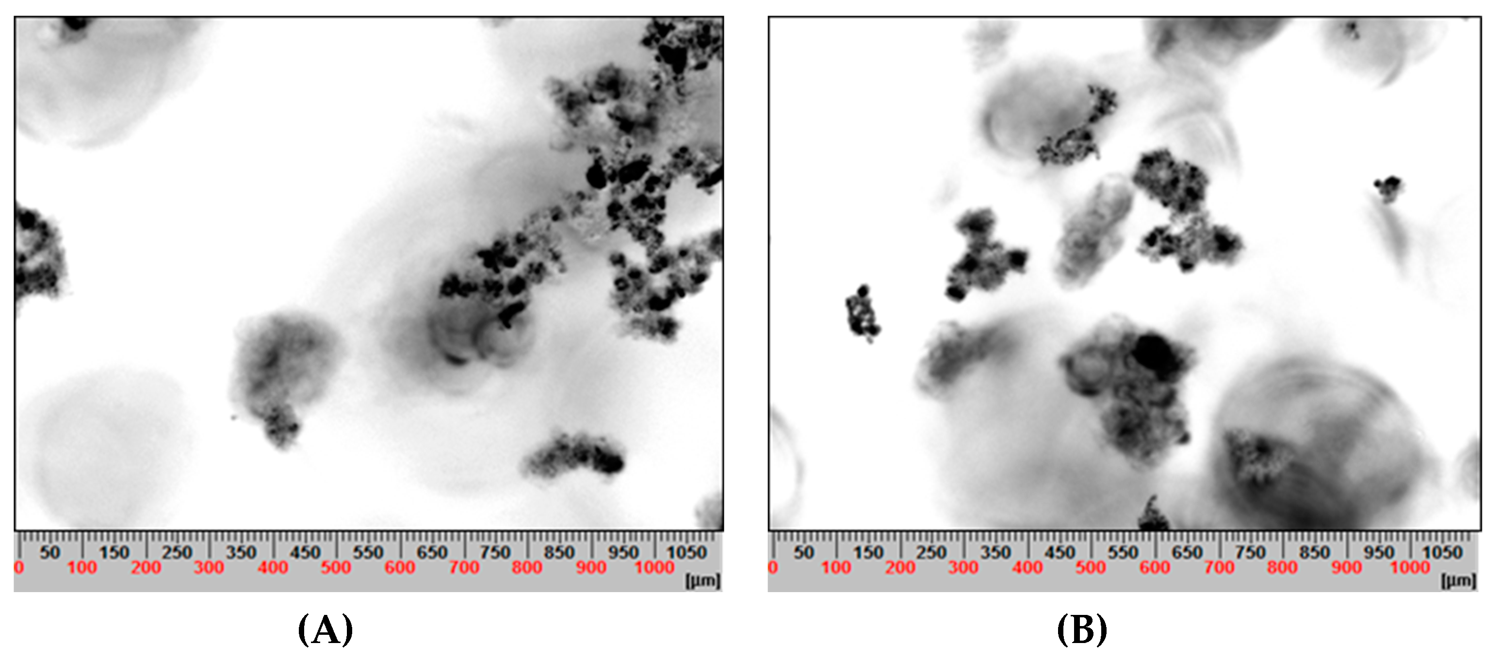 Metals 10 00239 g013