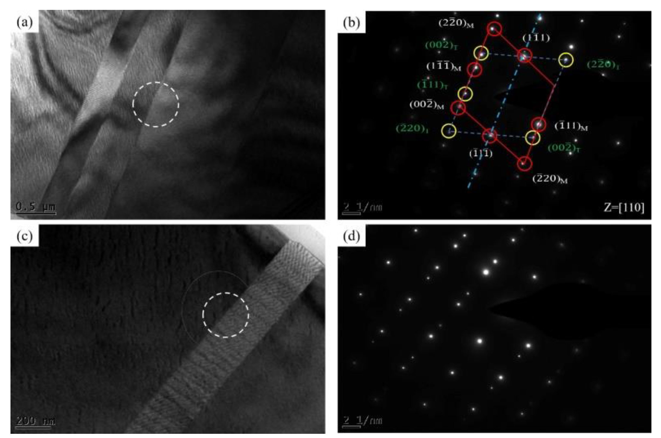 Metals 10 00241 g008