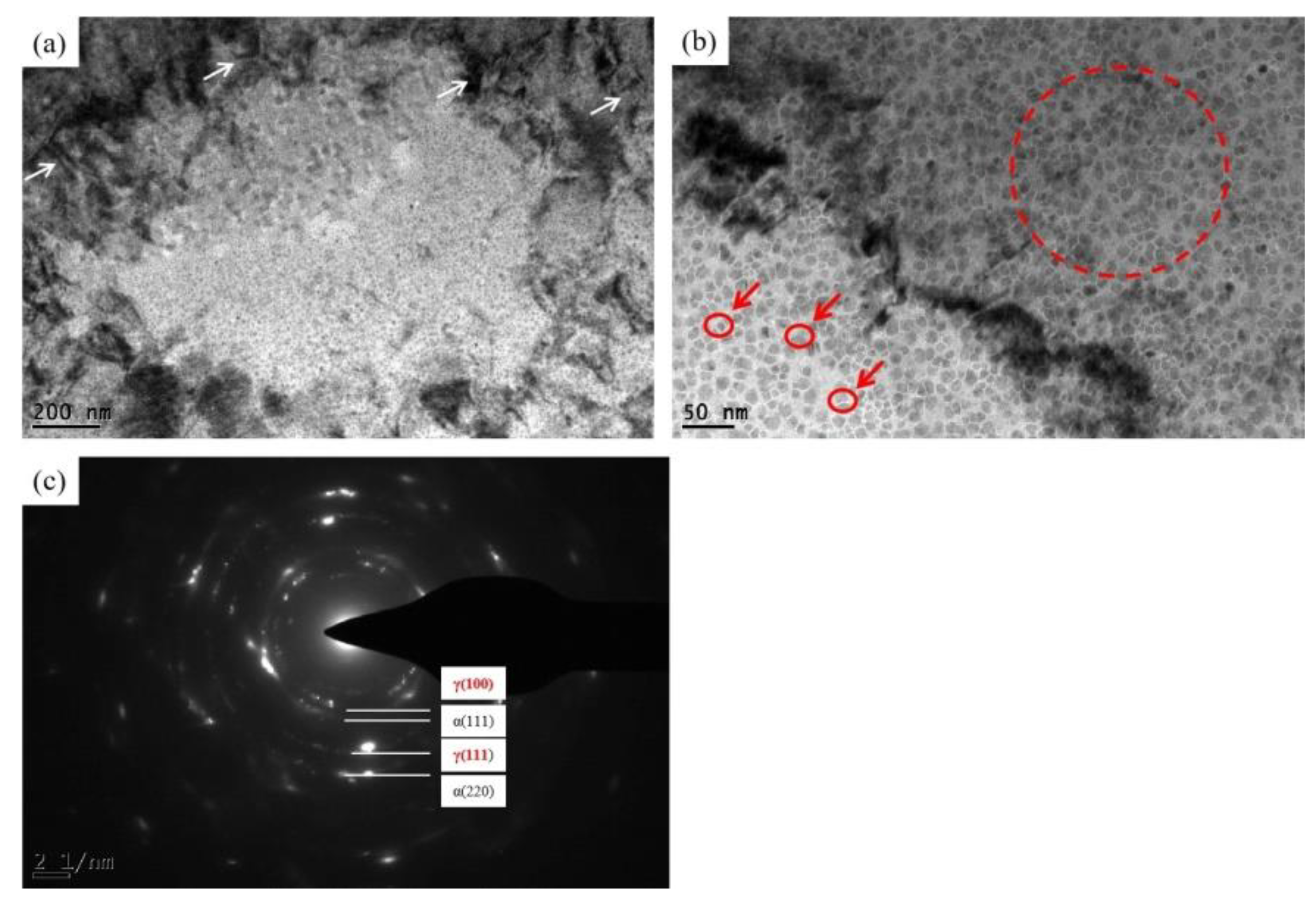 Metals 10 00241 g010