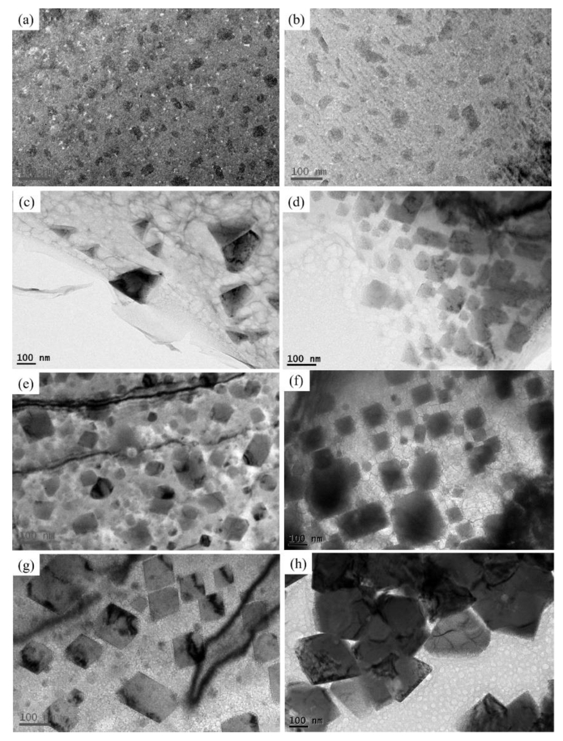 Metals 10 00241 g012