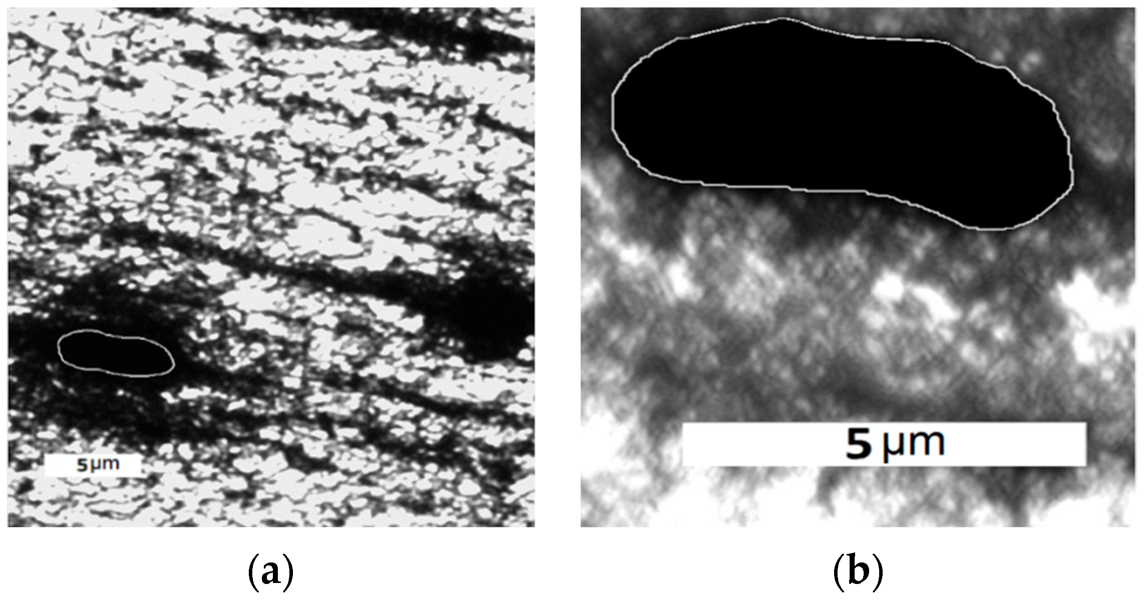 Metals 10 00245 g001