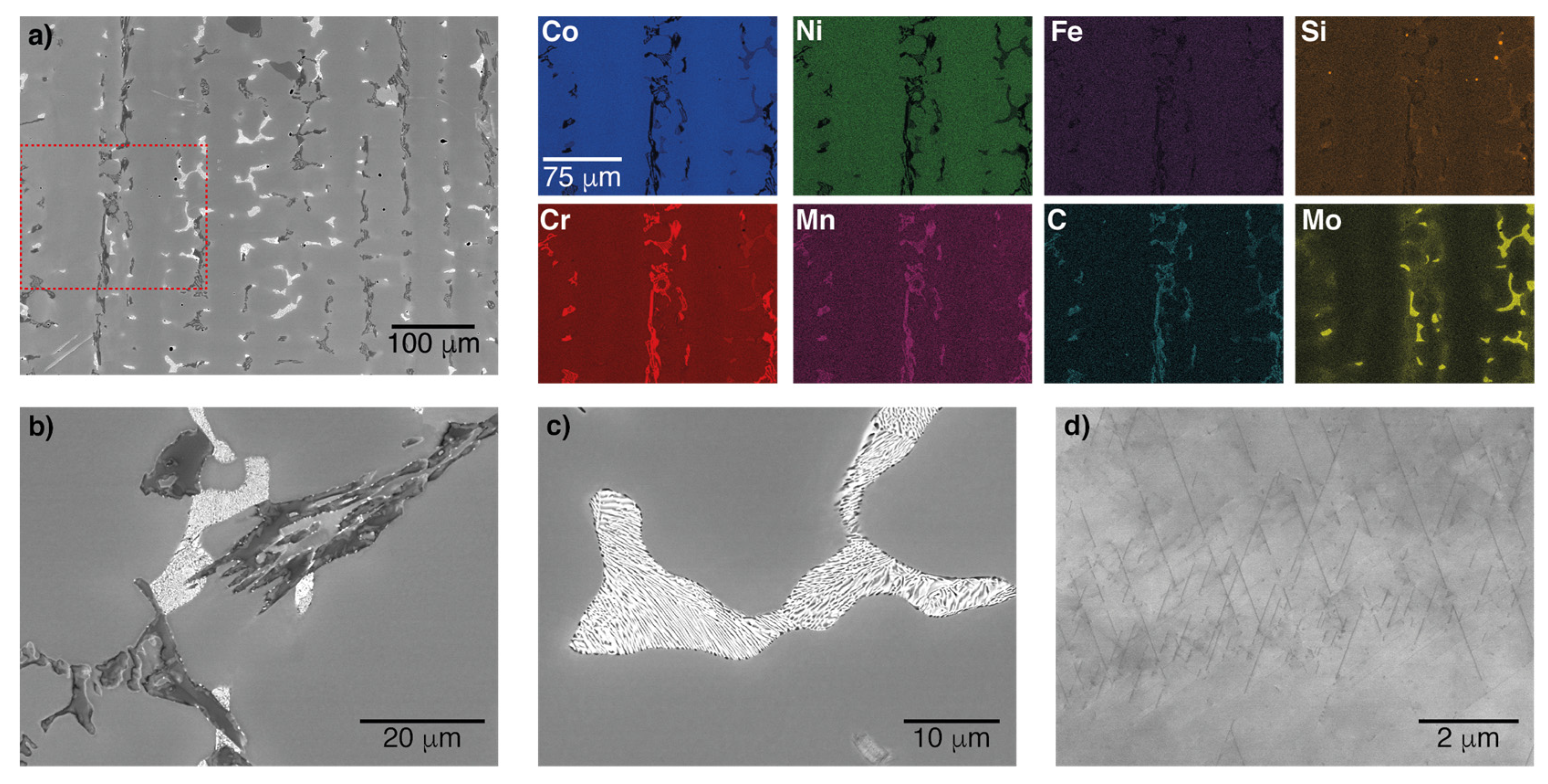 Metals 10 00248 g001