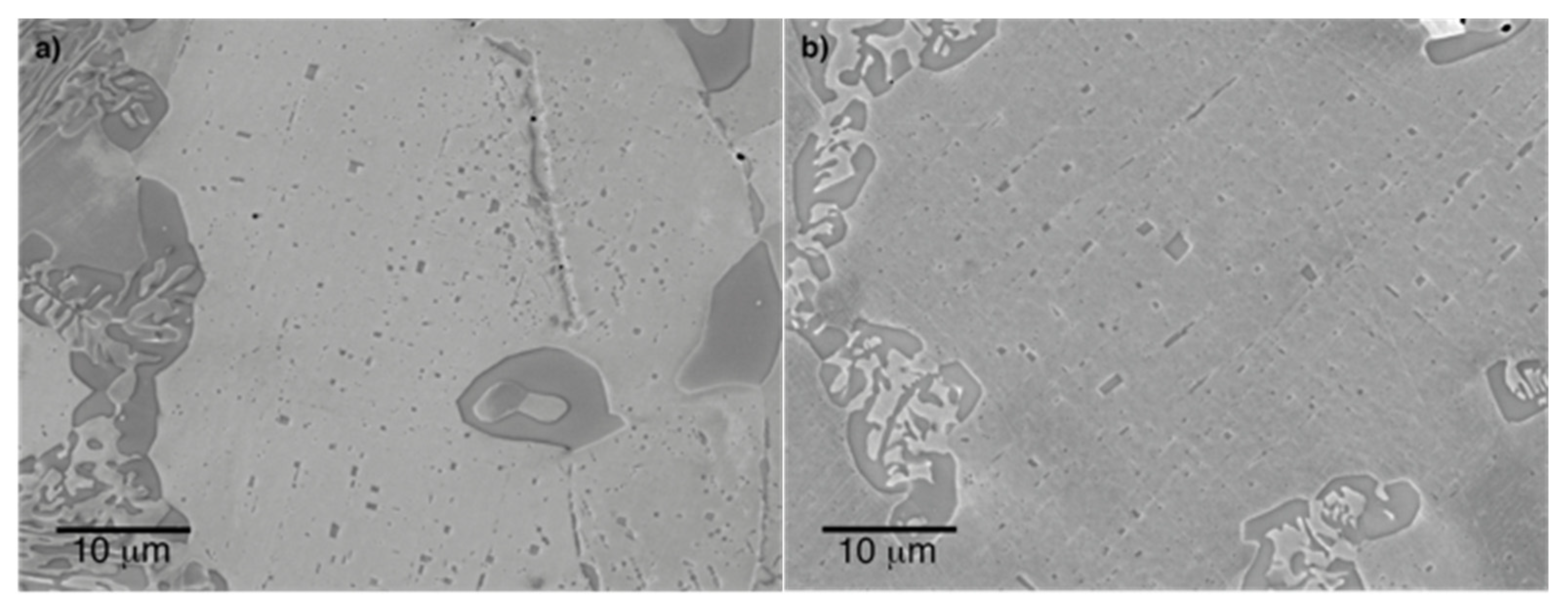 Metals 10 00248 g007