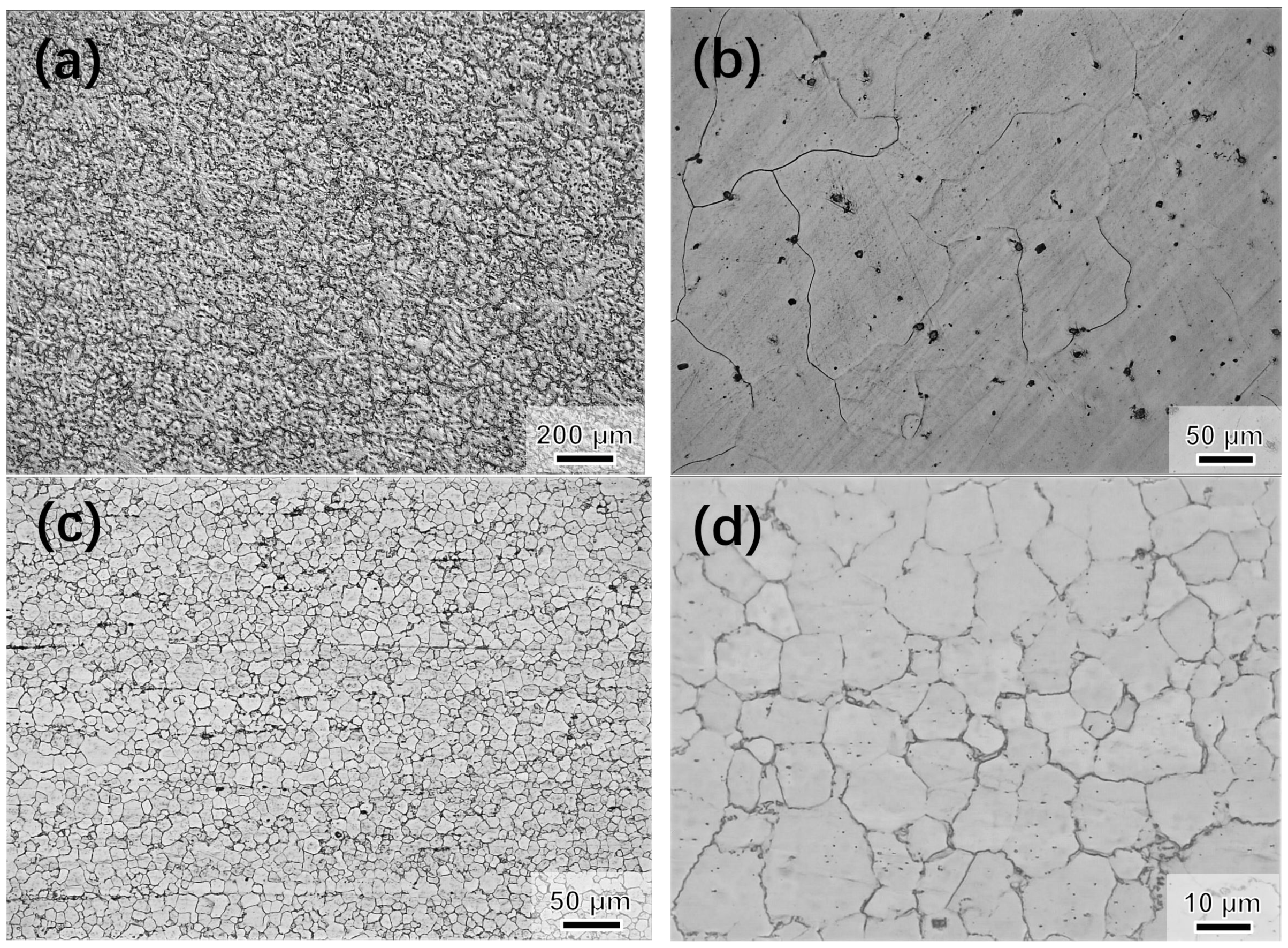 Metals 10 00249 g003