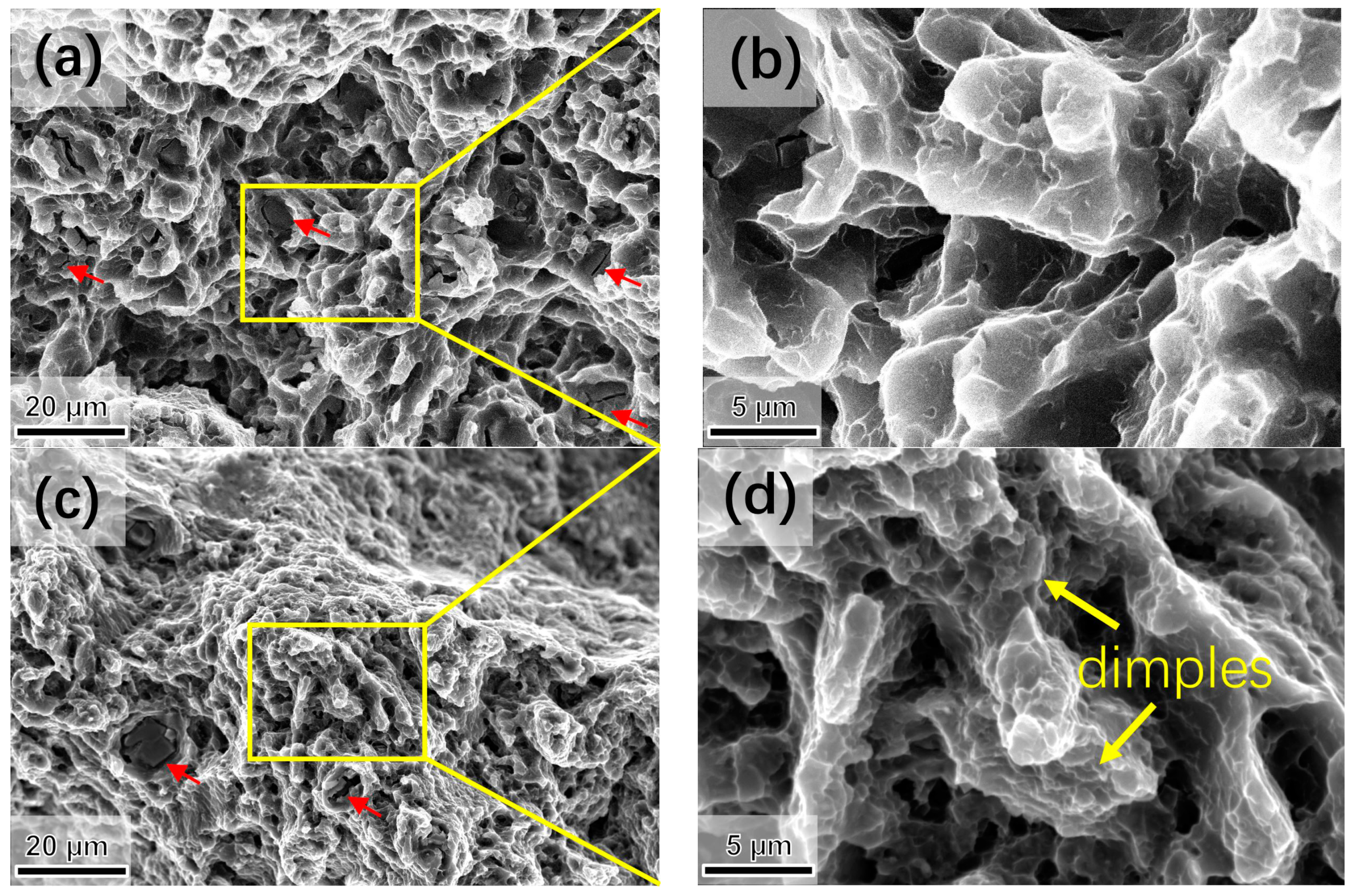 Metals 10 00249 g010