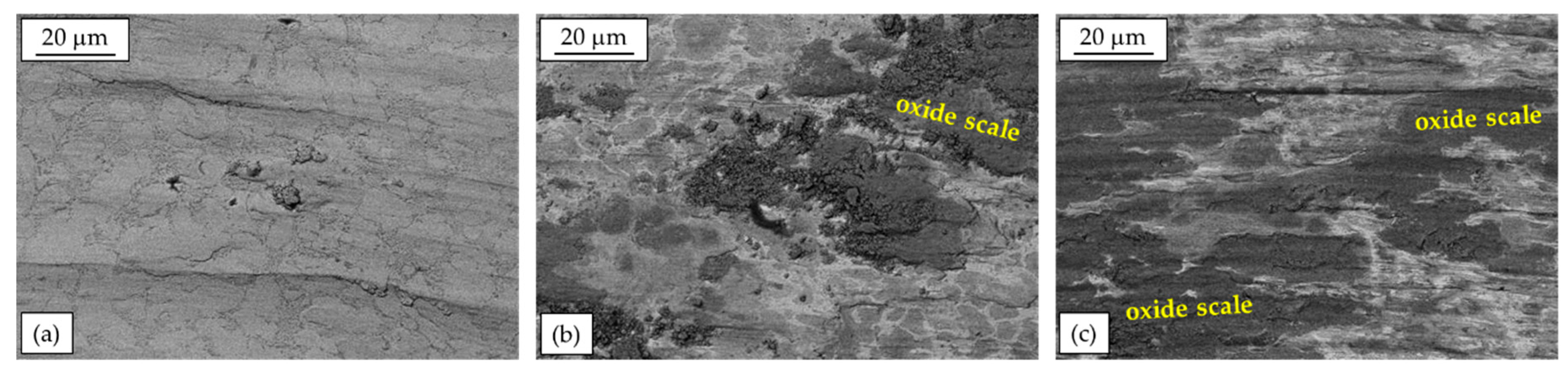 Metals 10 00253 g007