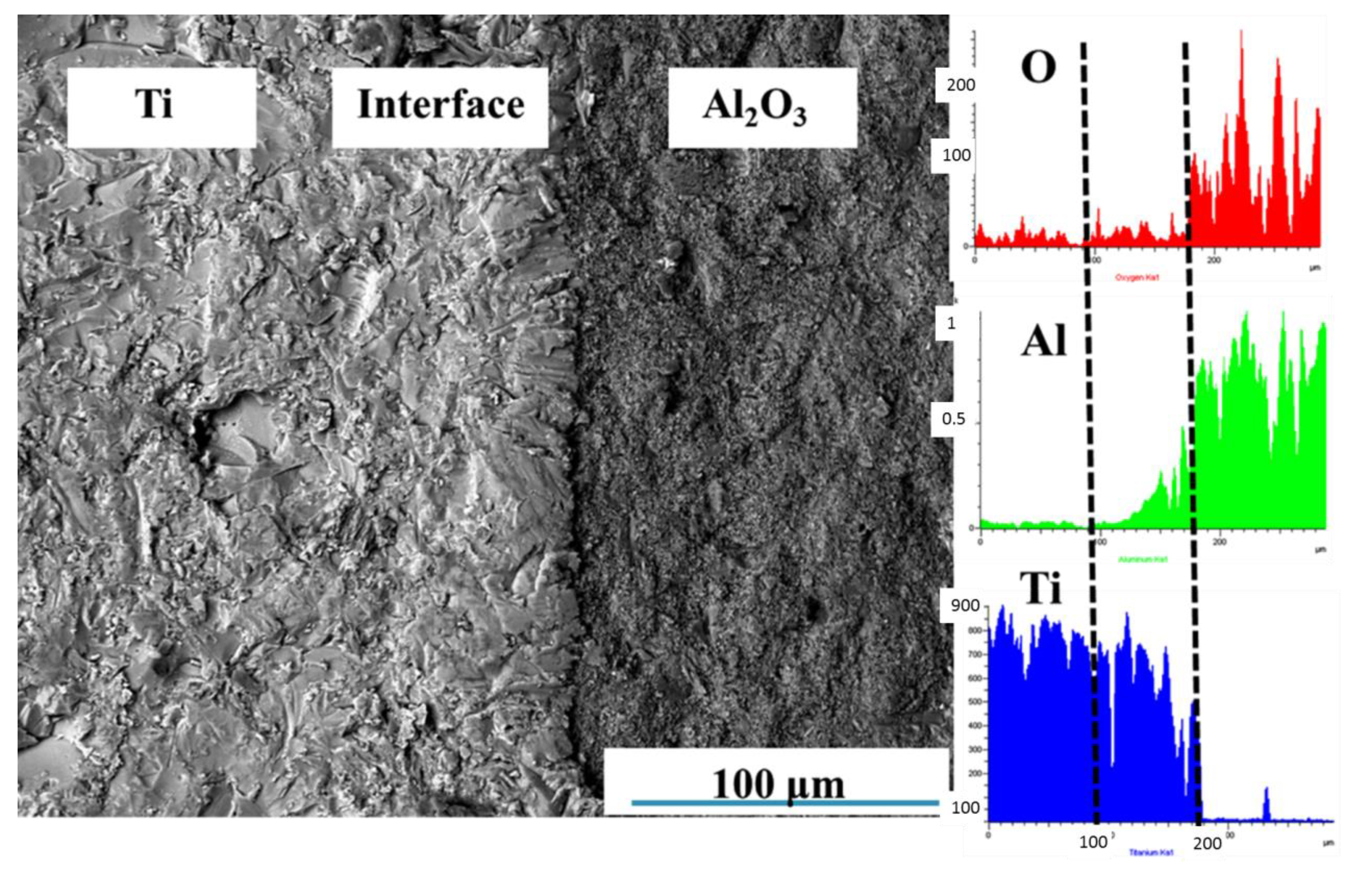 Metals 10 00259 g003