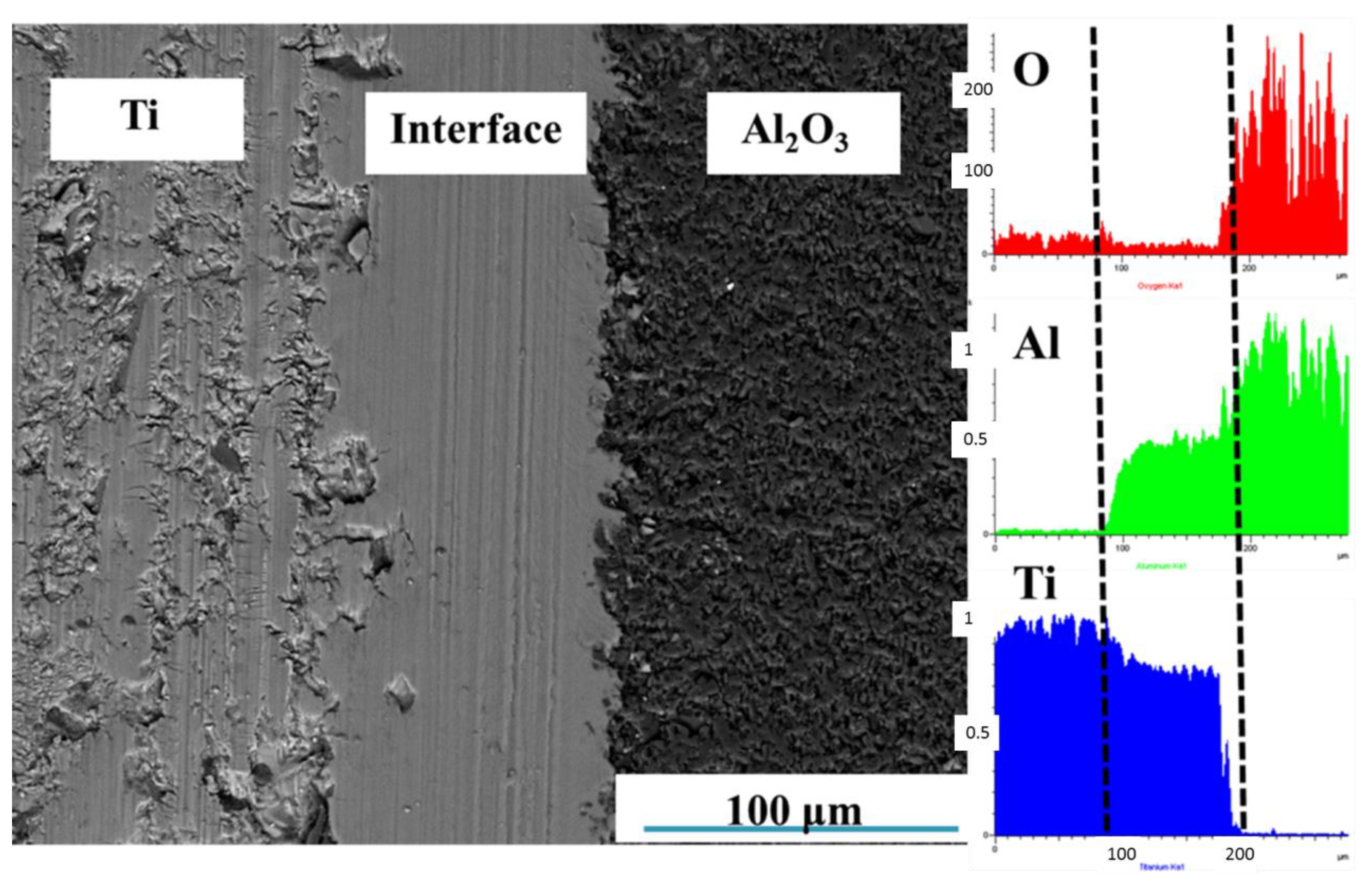 Metals 10 00259 g008