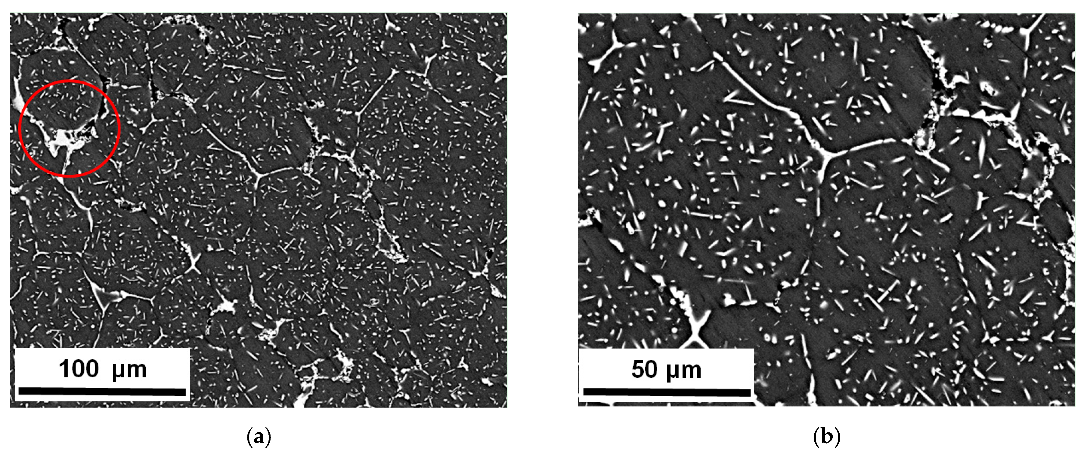 Metals 10 00263 g003