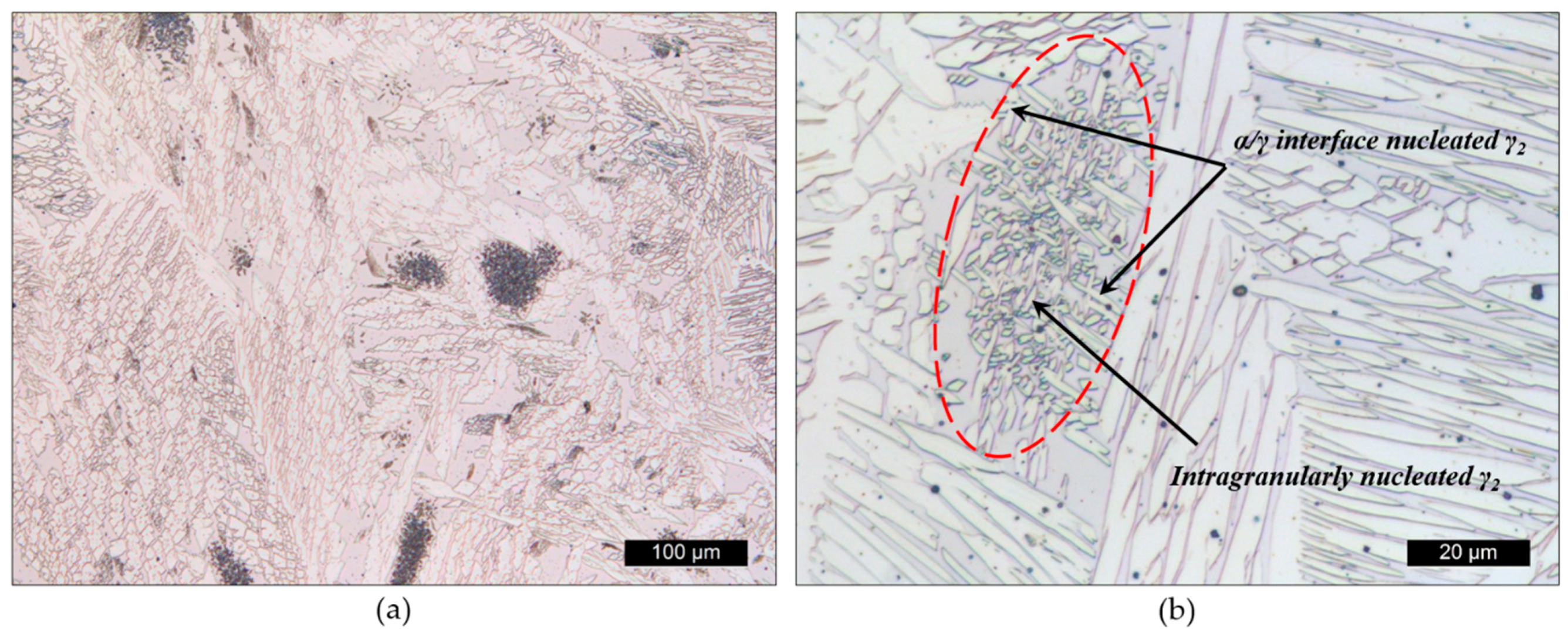 Metals 10 00272 g016