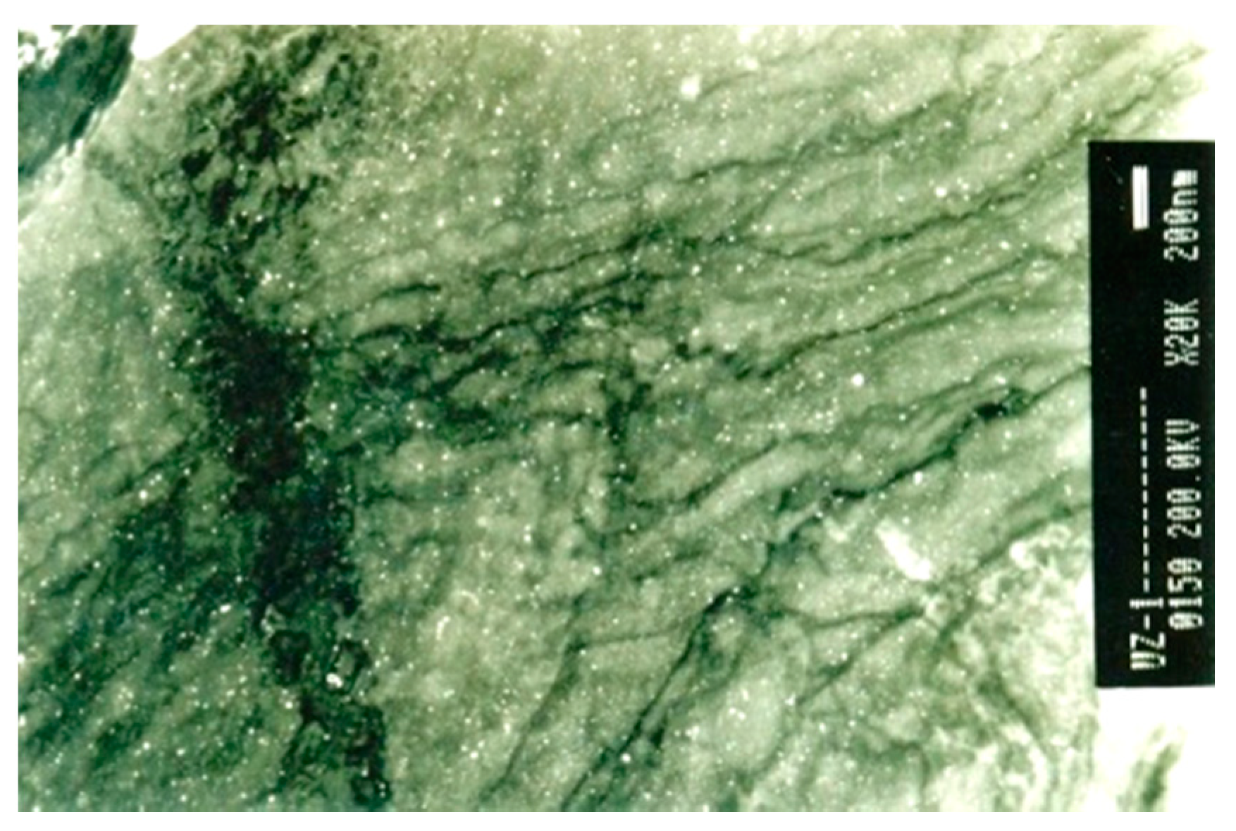 Metals 10 00294 g003 Metals 10 00294 g003