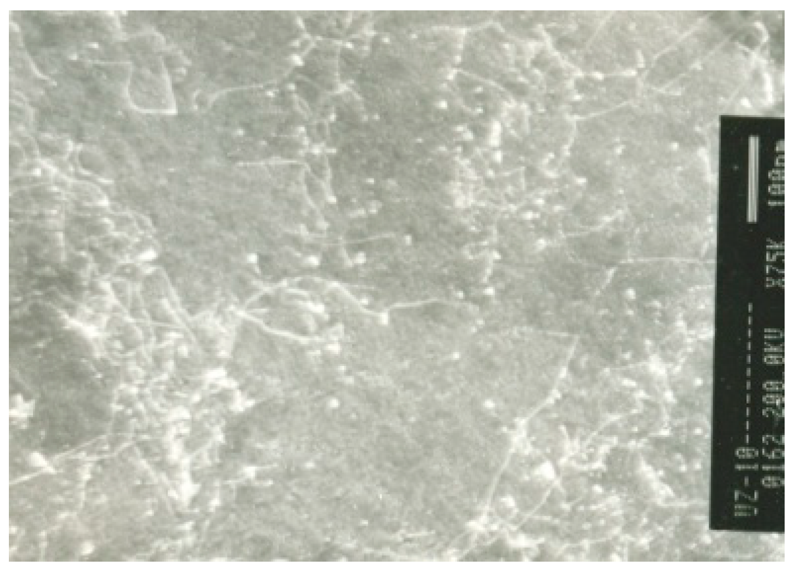 Metals 10 00294 g008 Metals 10 00294 g008