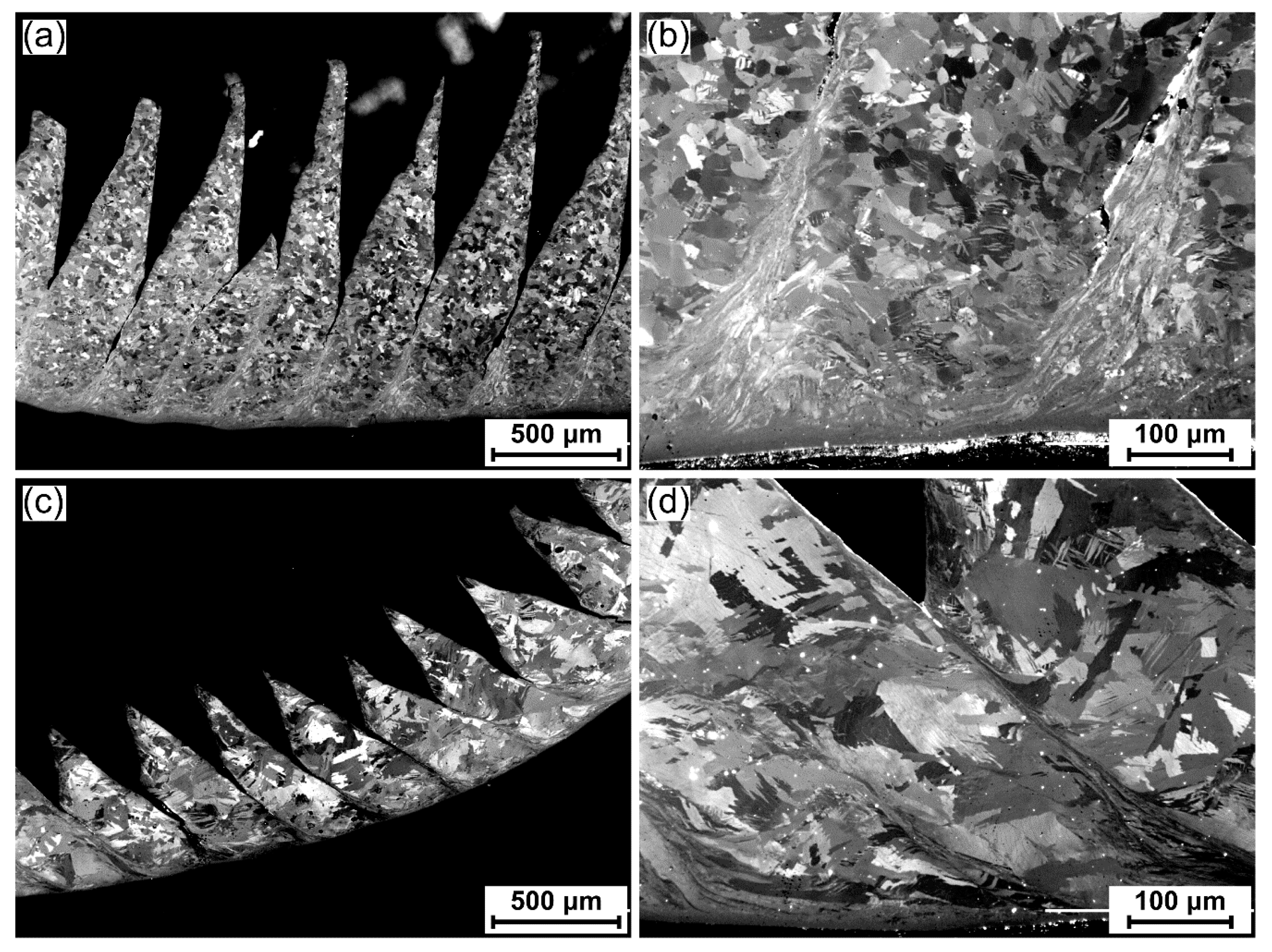 Metals 10 00296 g004