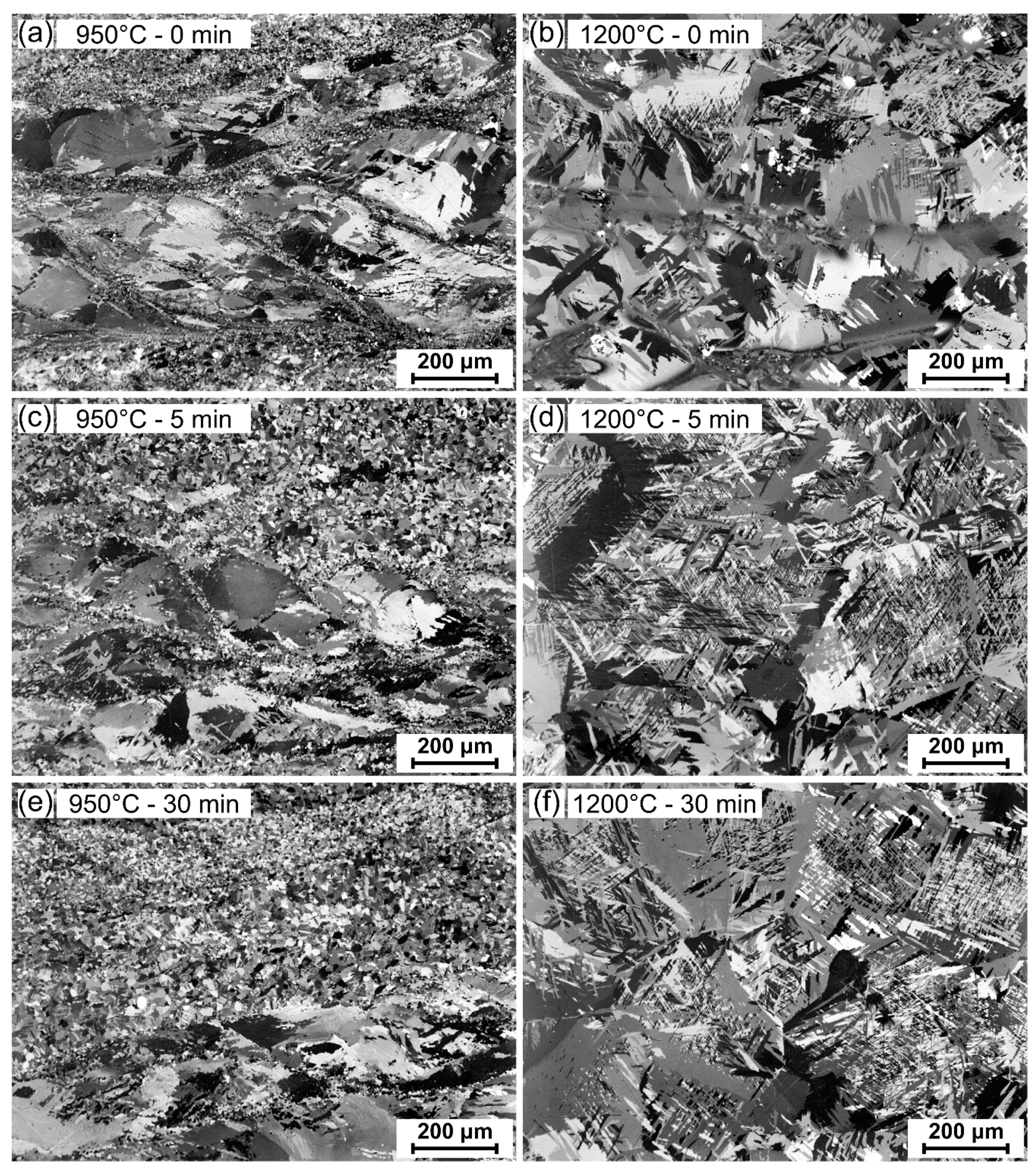 Metals 10 00296 g005