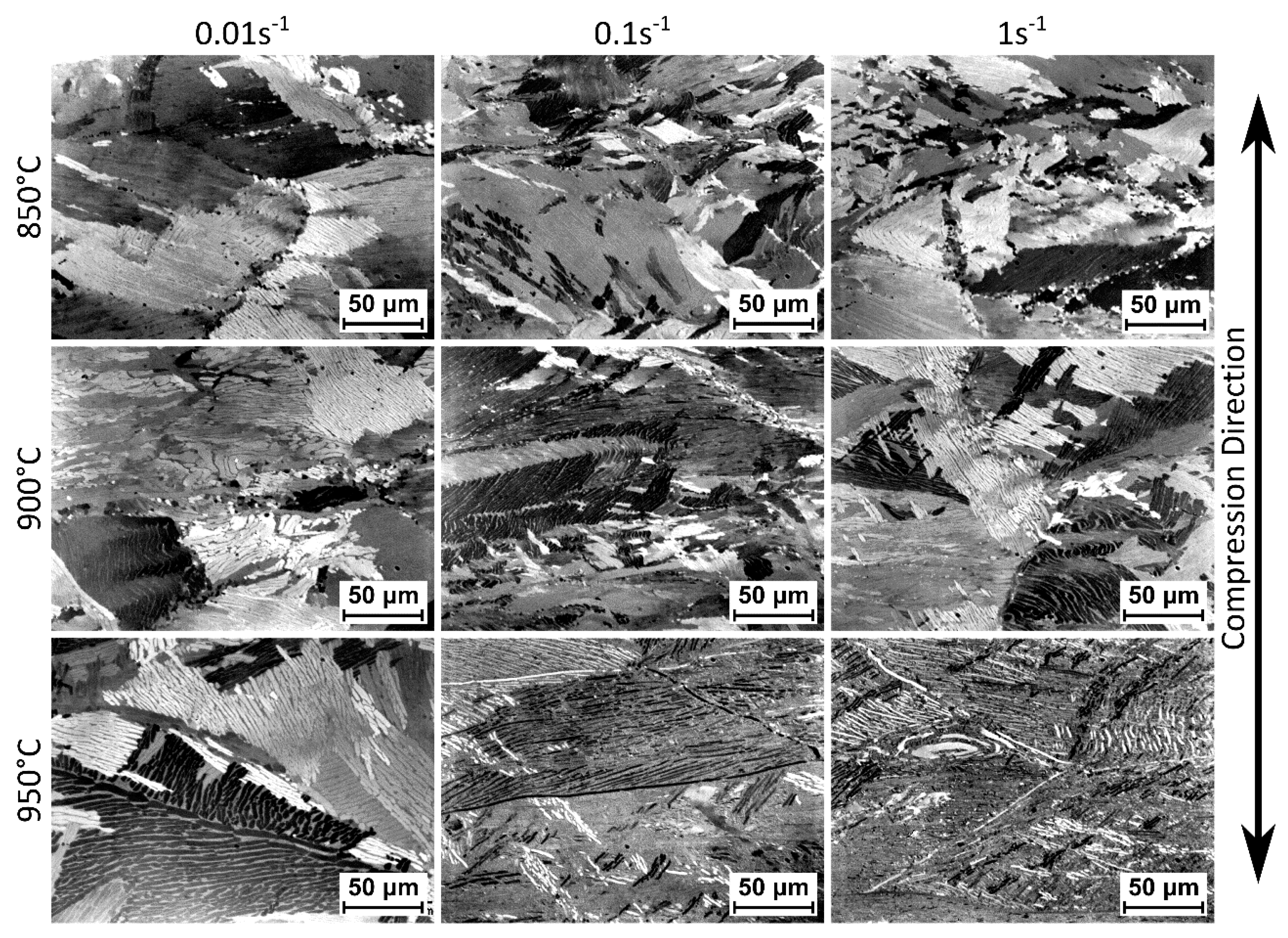 Metals 10 00296 g009