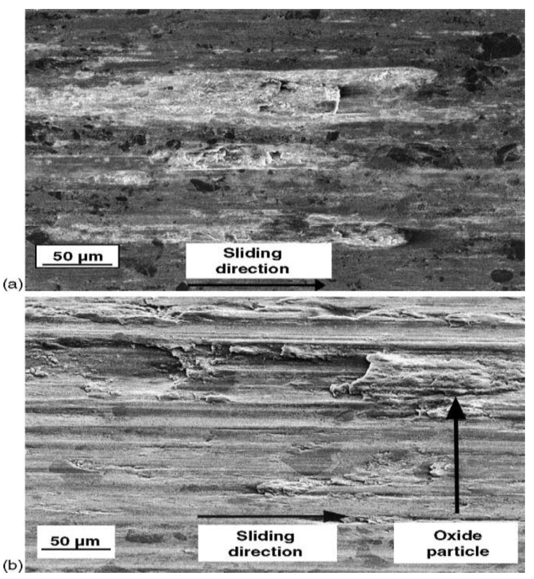 Metals 10 00304 g008