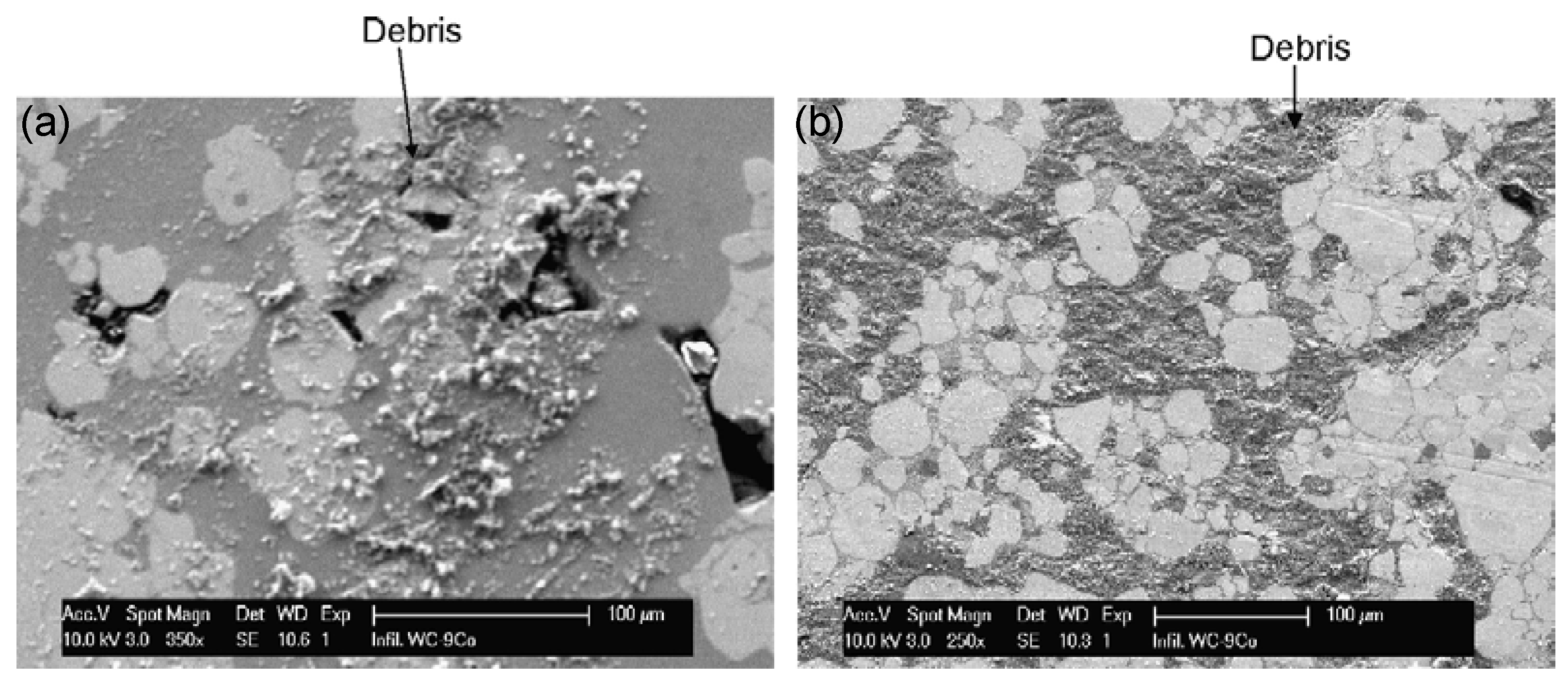 Metals 10 00304 g019