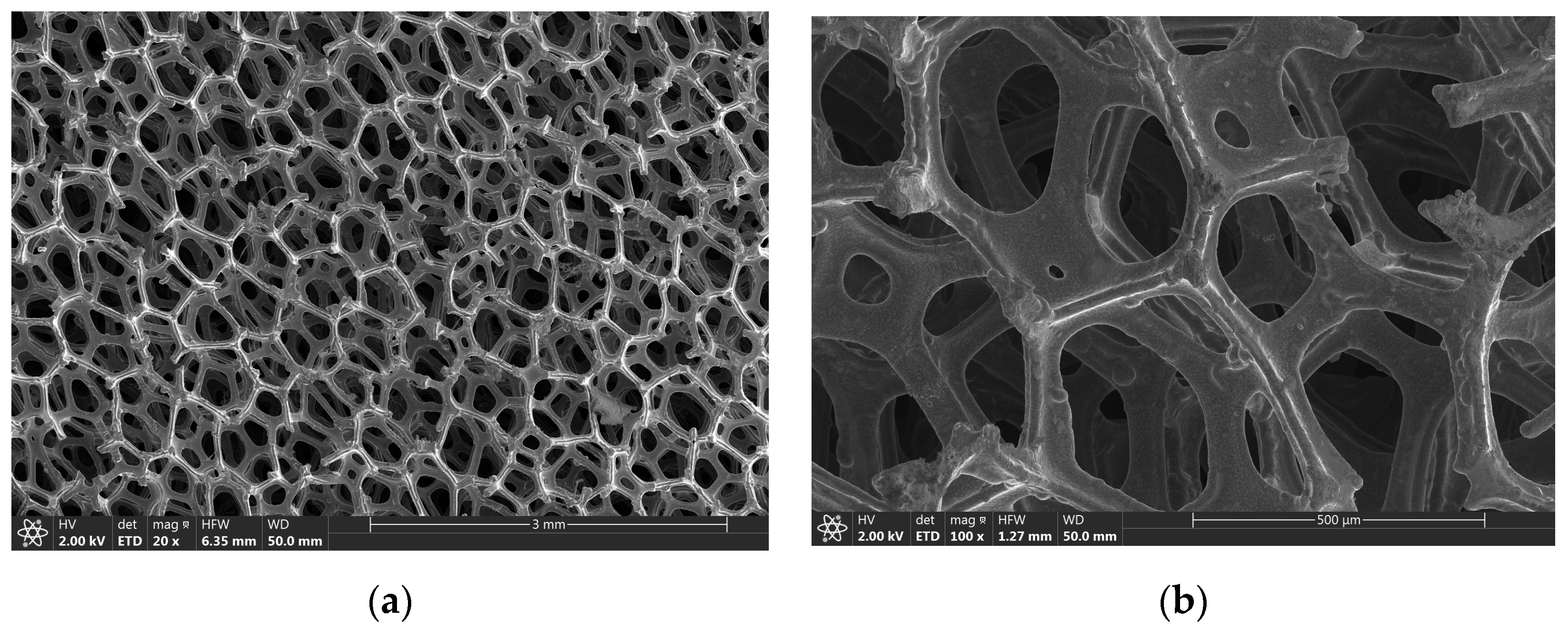 Metals 10 00340 g001