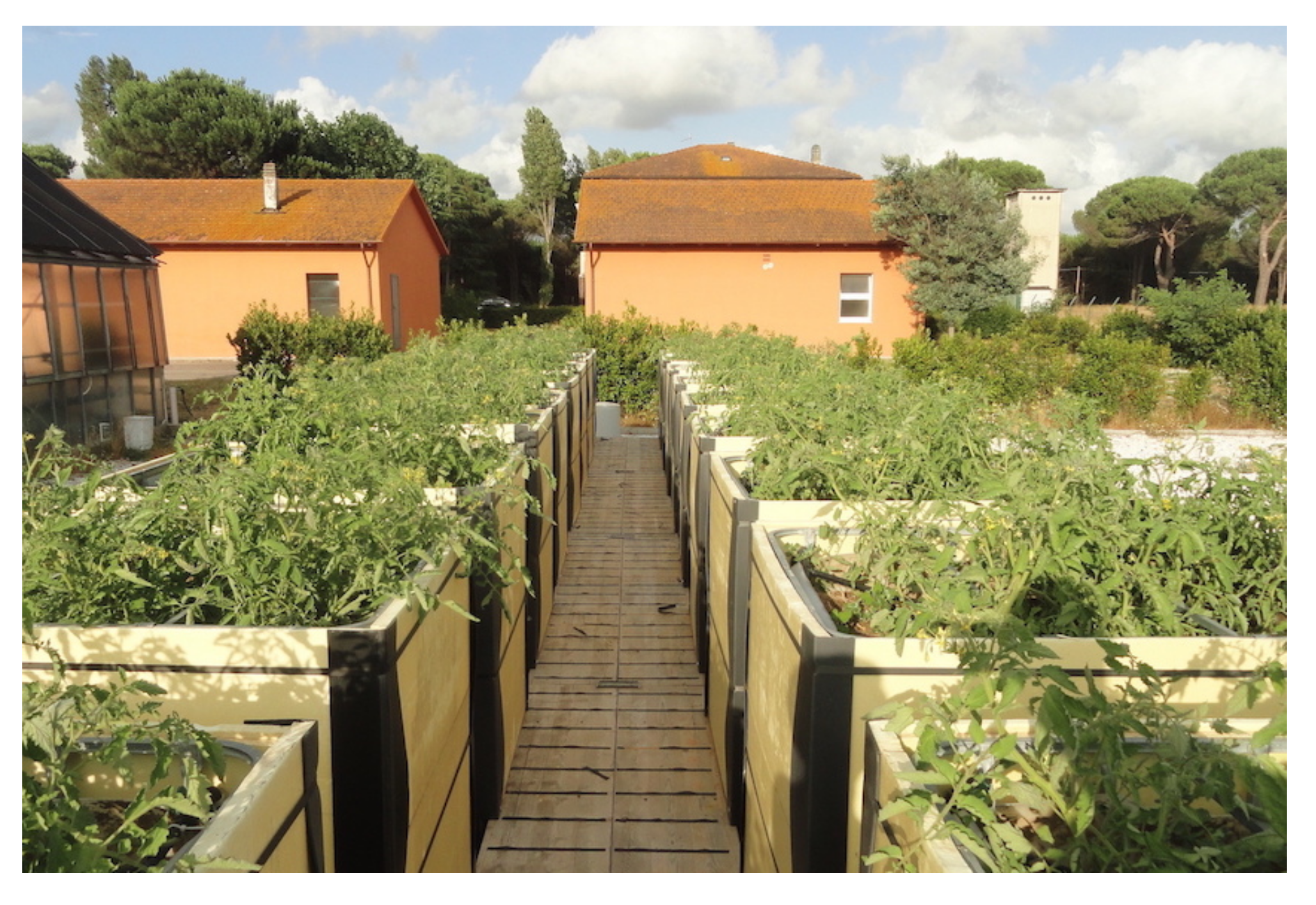 Metals 10 00345 g005