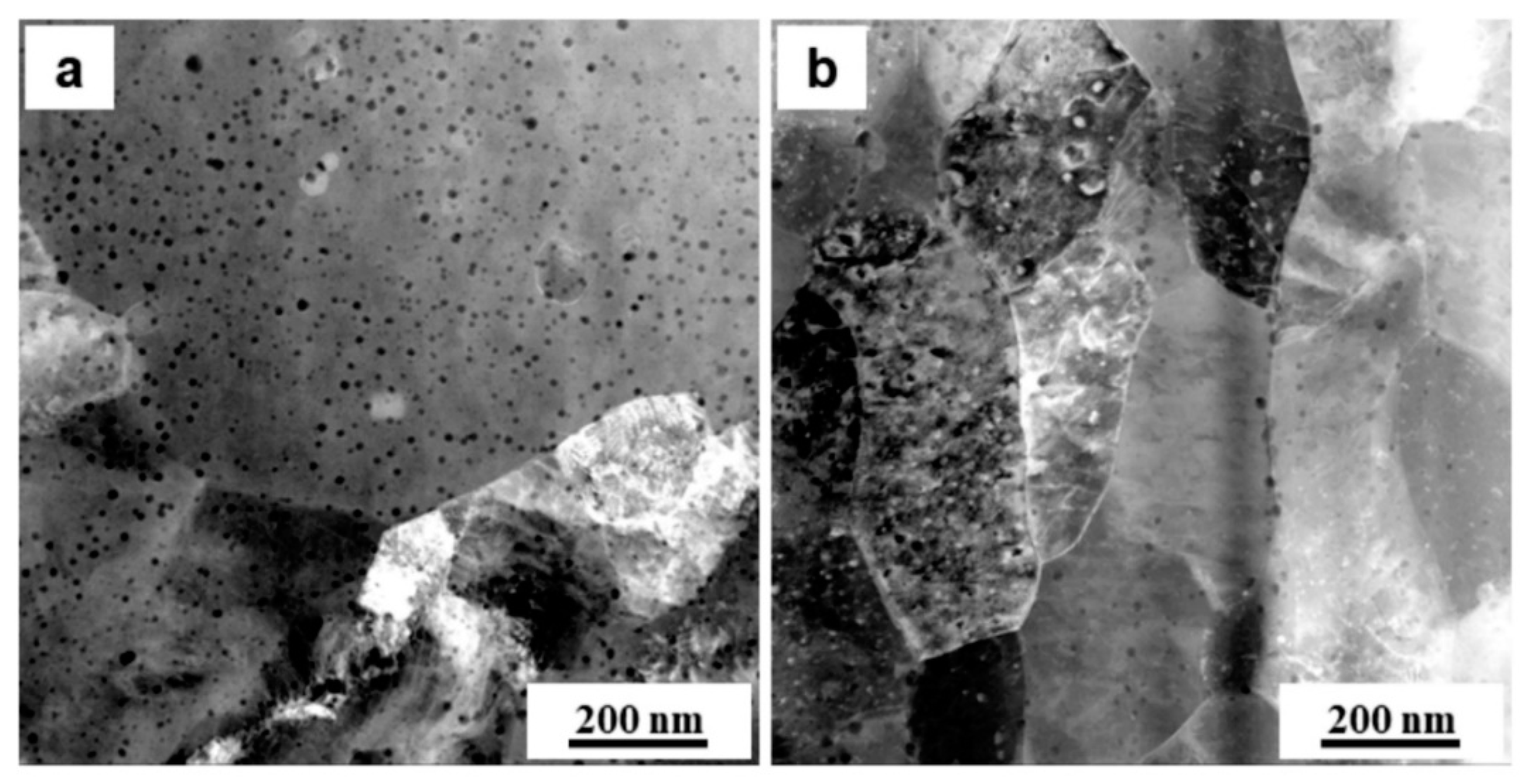 Metals 10 00348 g003