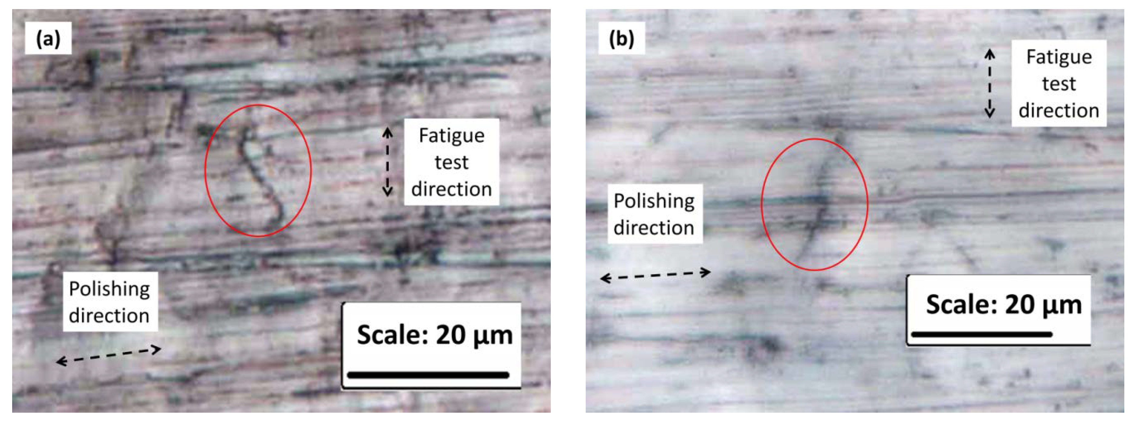 Metals 10 00355 g003