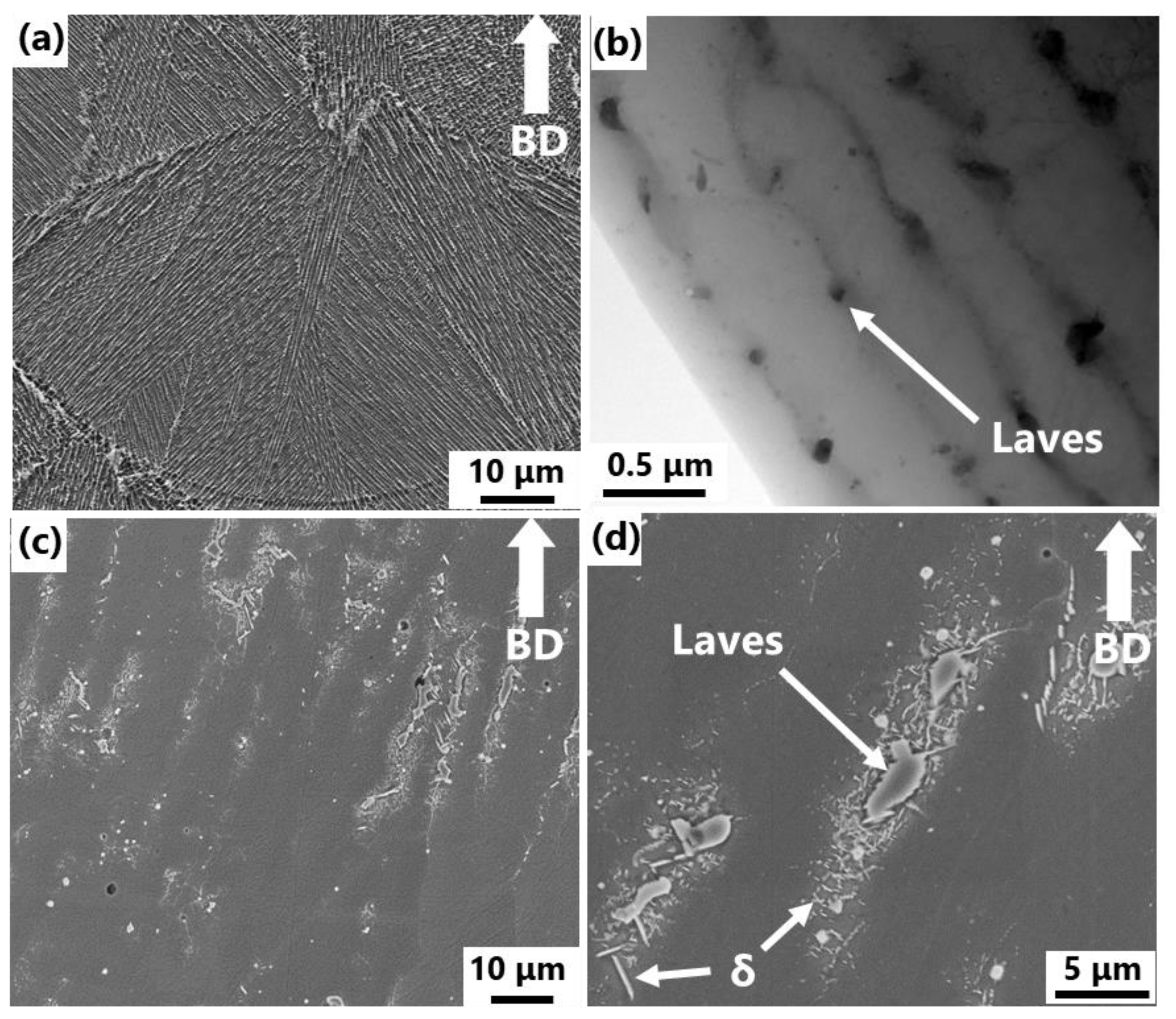 Metals 10 00362 g002