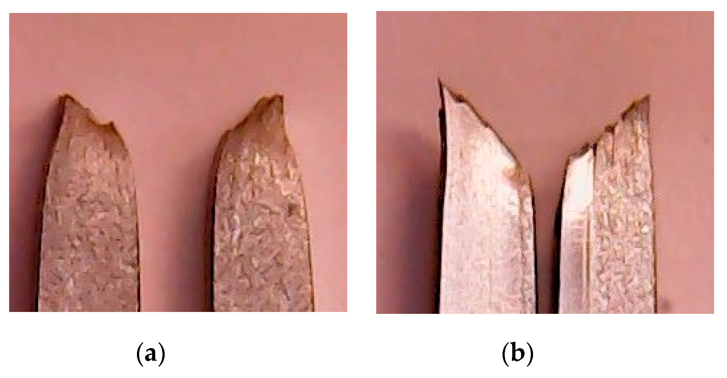 Metals 10 00369 g012