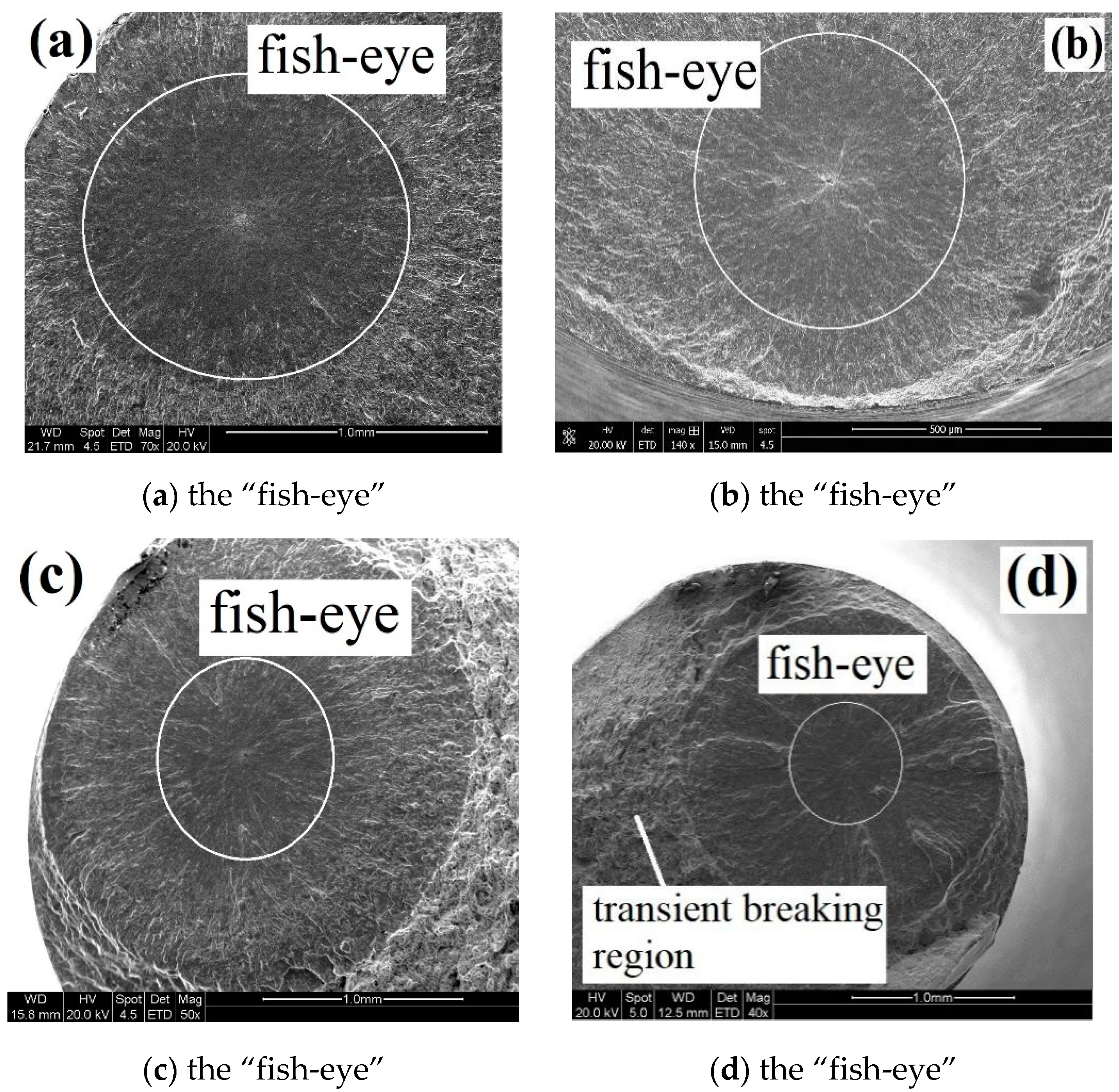 Metals 10 00371 g005