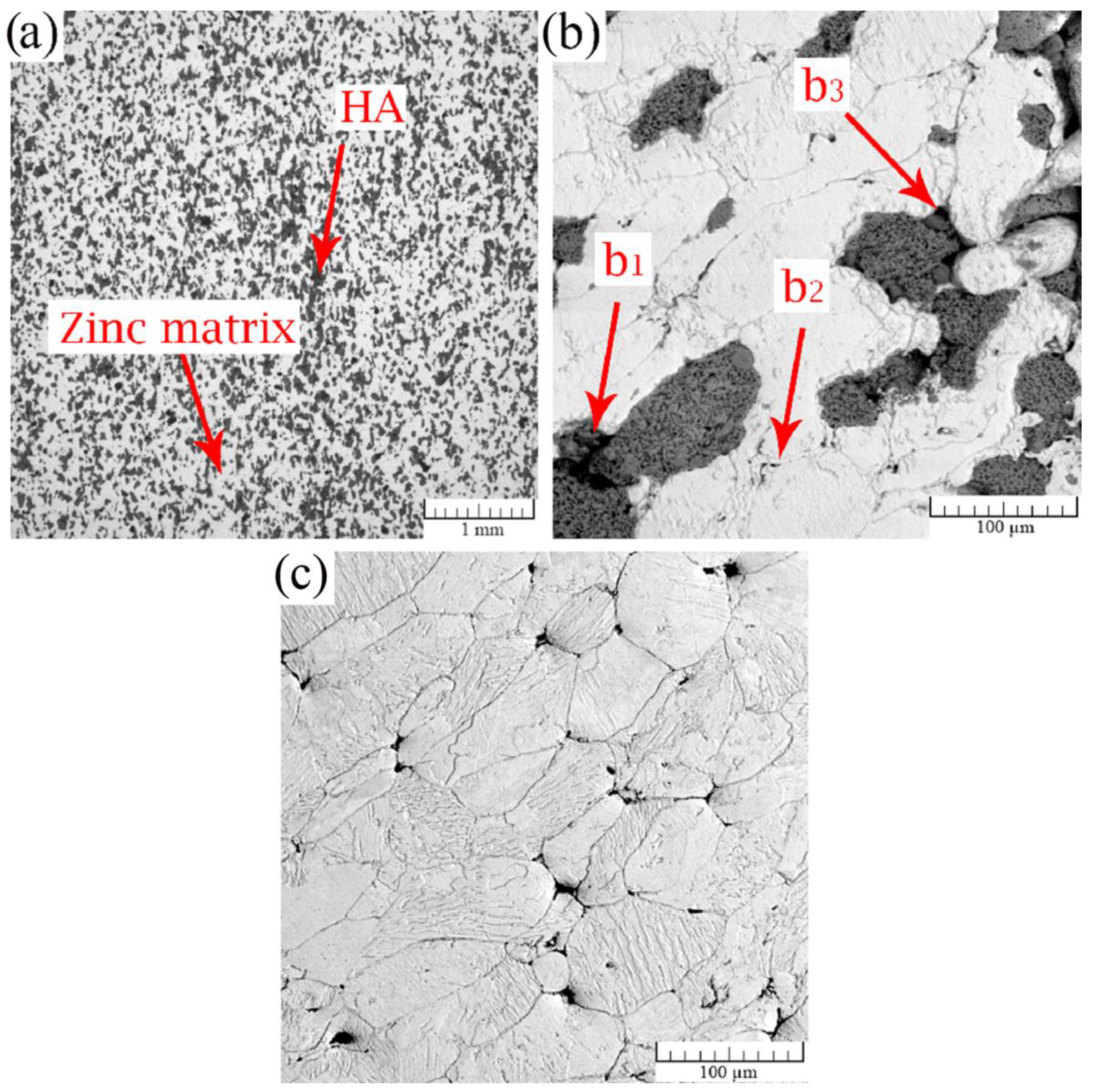 Metals 10 00372 g004