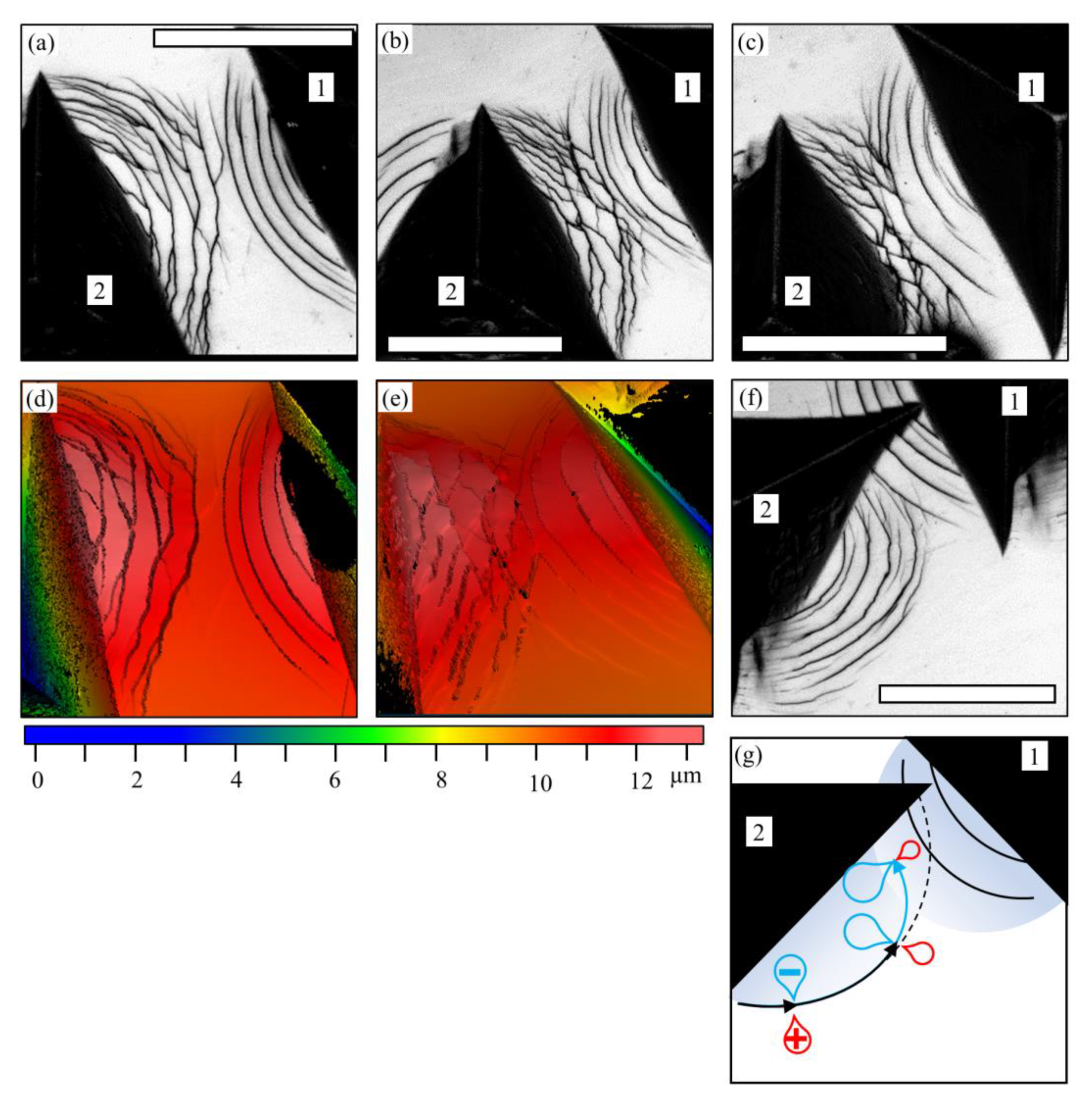 Metals 10 00374 g005