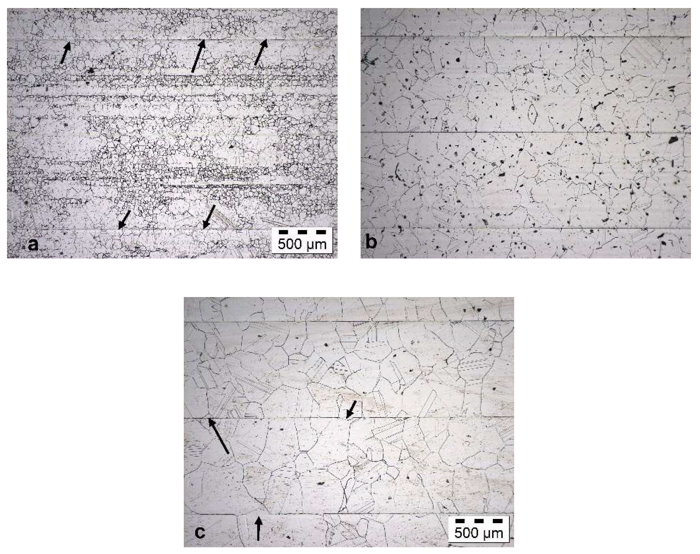 Metals 10 00376 g004