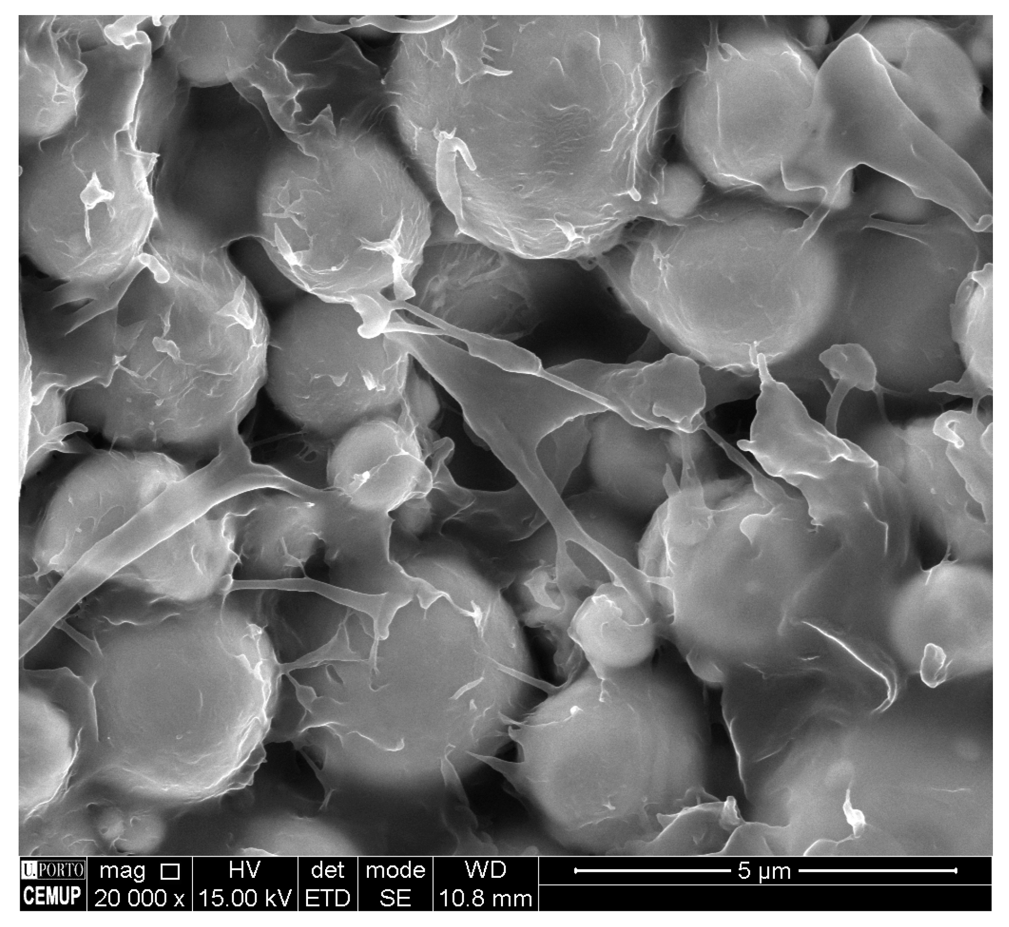 Metals 10 00388 g003