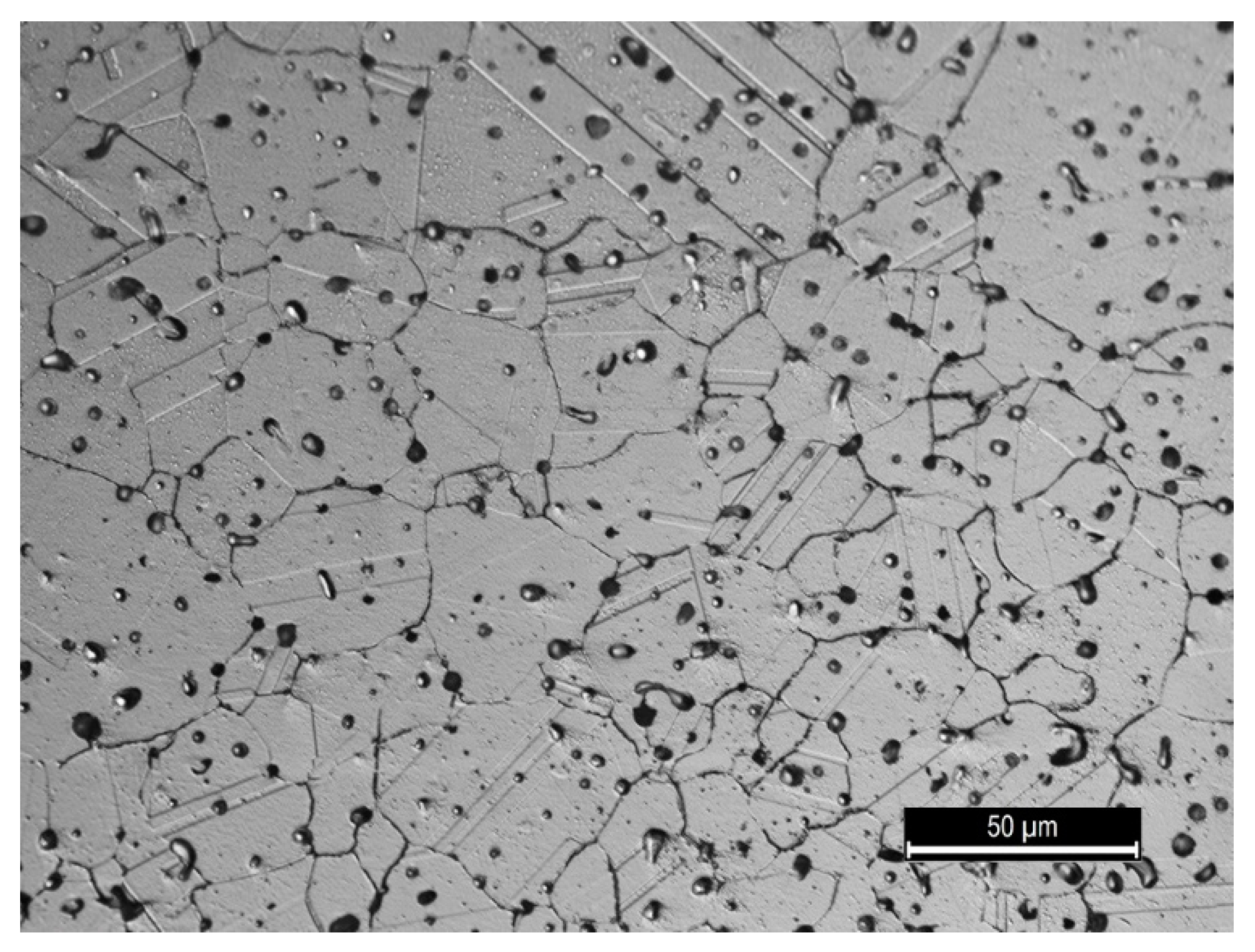 Metals 10 00388 g007