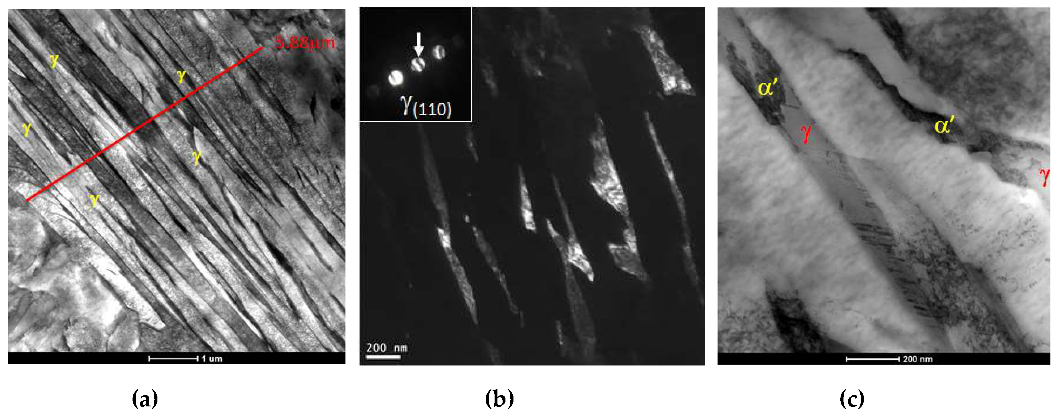 Metals 10 00392 g006