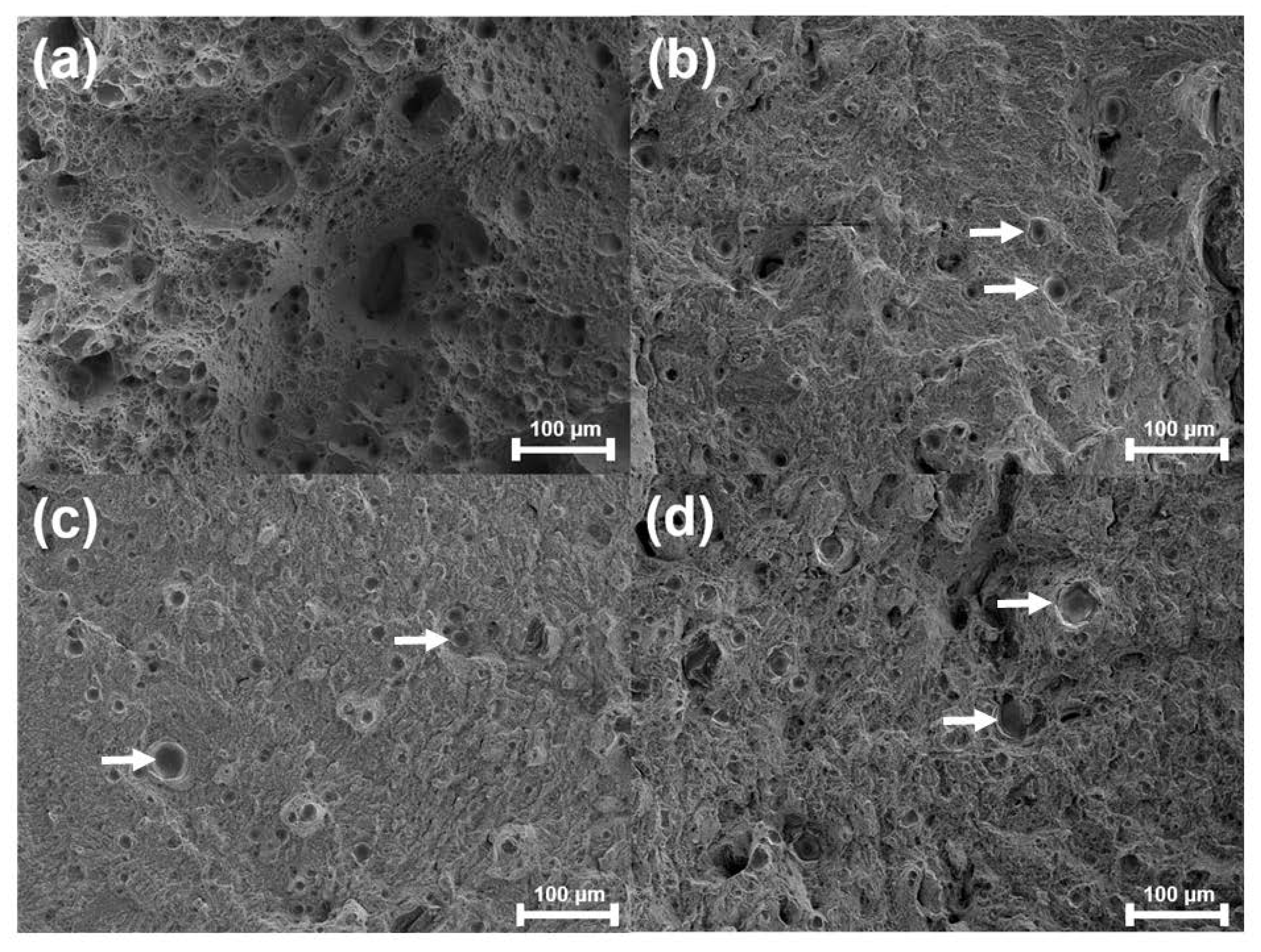 Metals 10 00410 g012 Metals 10 00410 g012