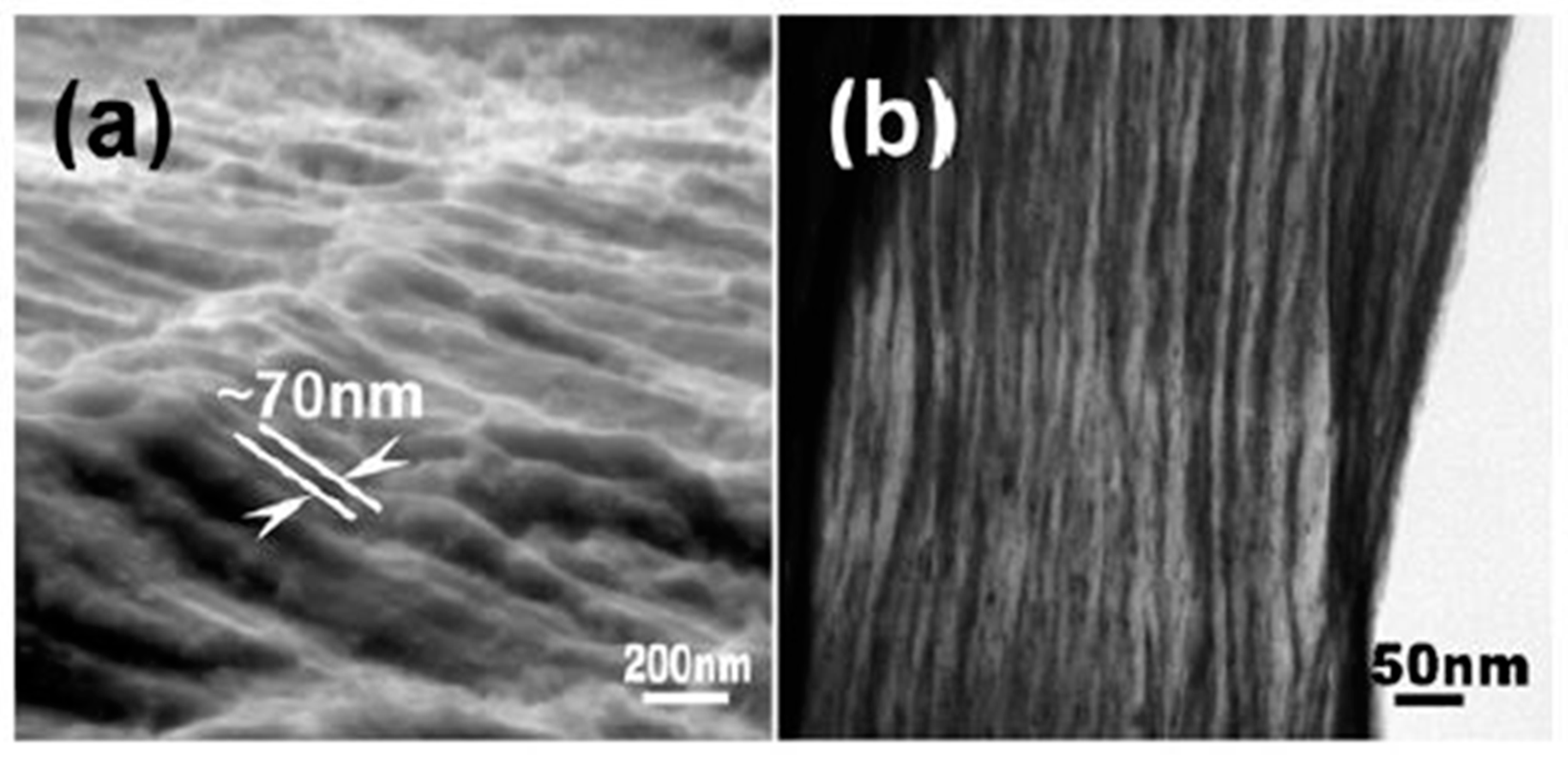 Metals 10 00415 g001