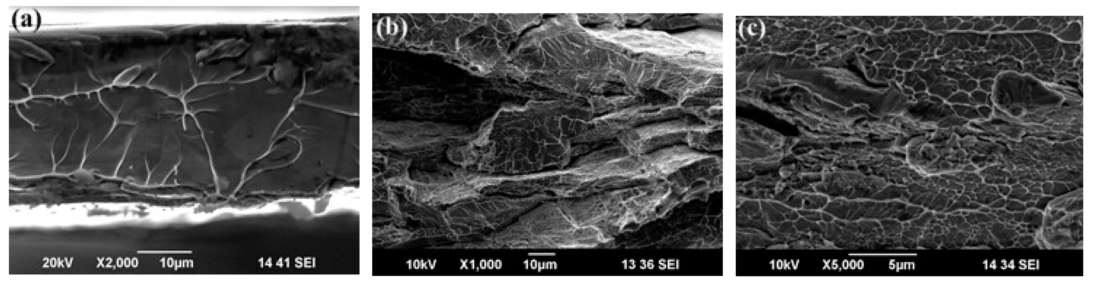 Metals 10 00415 g010