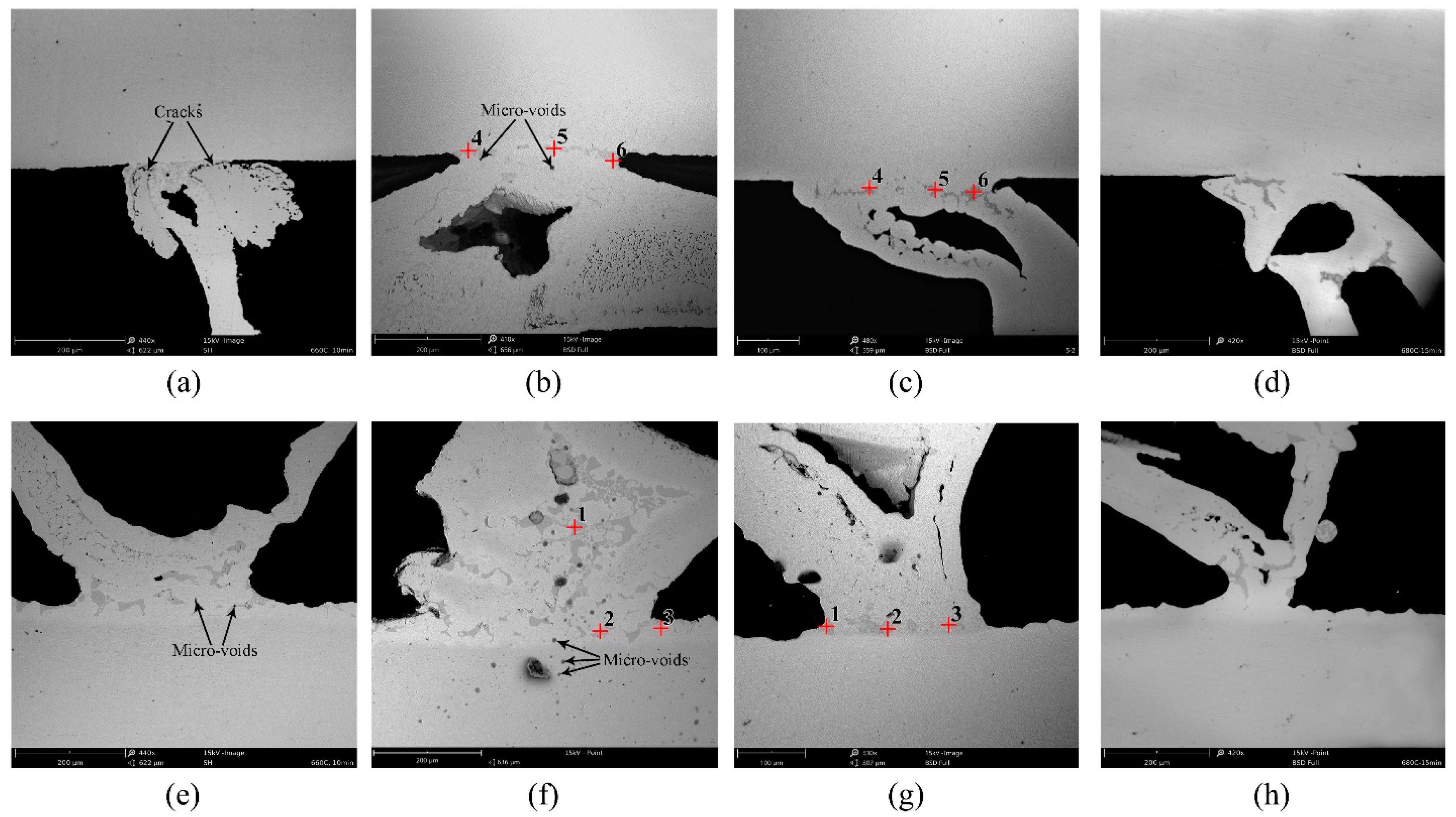 Metals 10 00416 g003