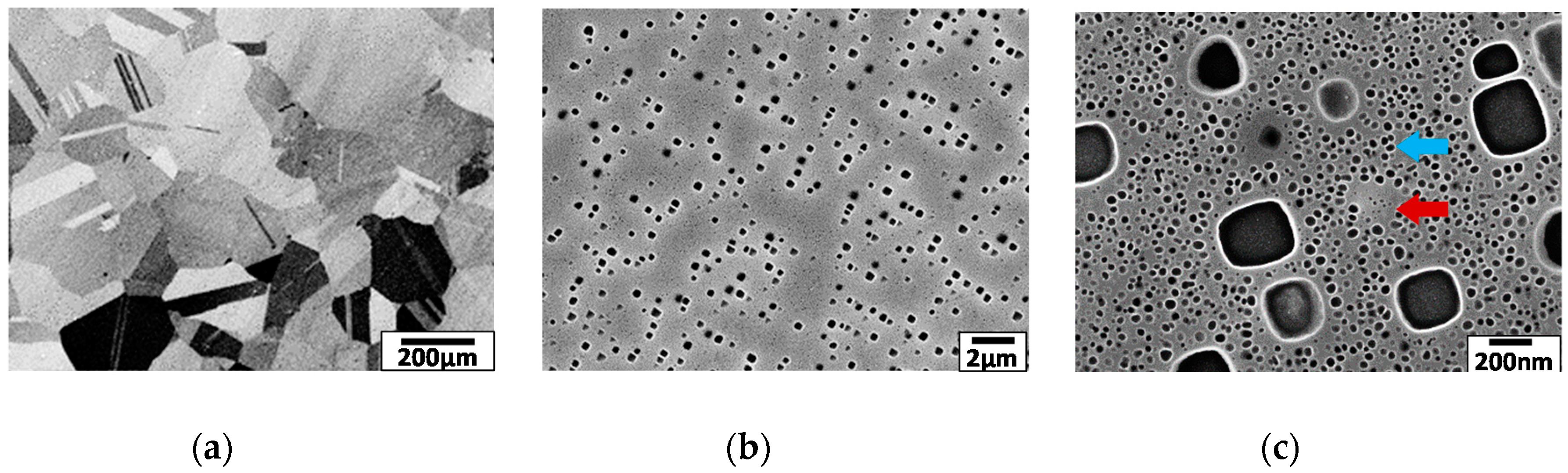 Metals 10 00426 g001