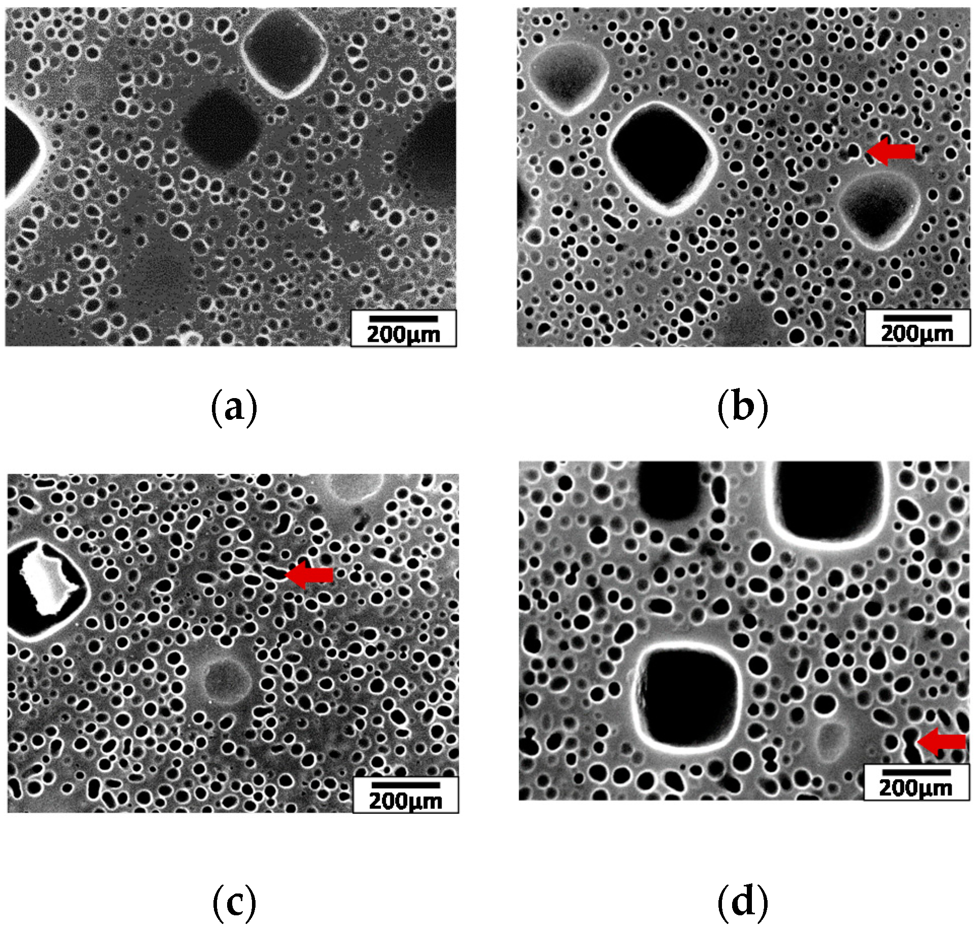 Metals 10 00426 g002