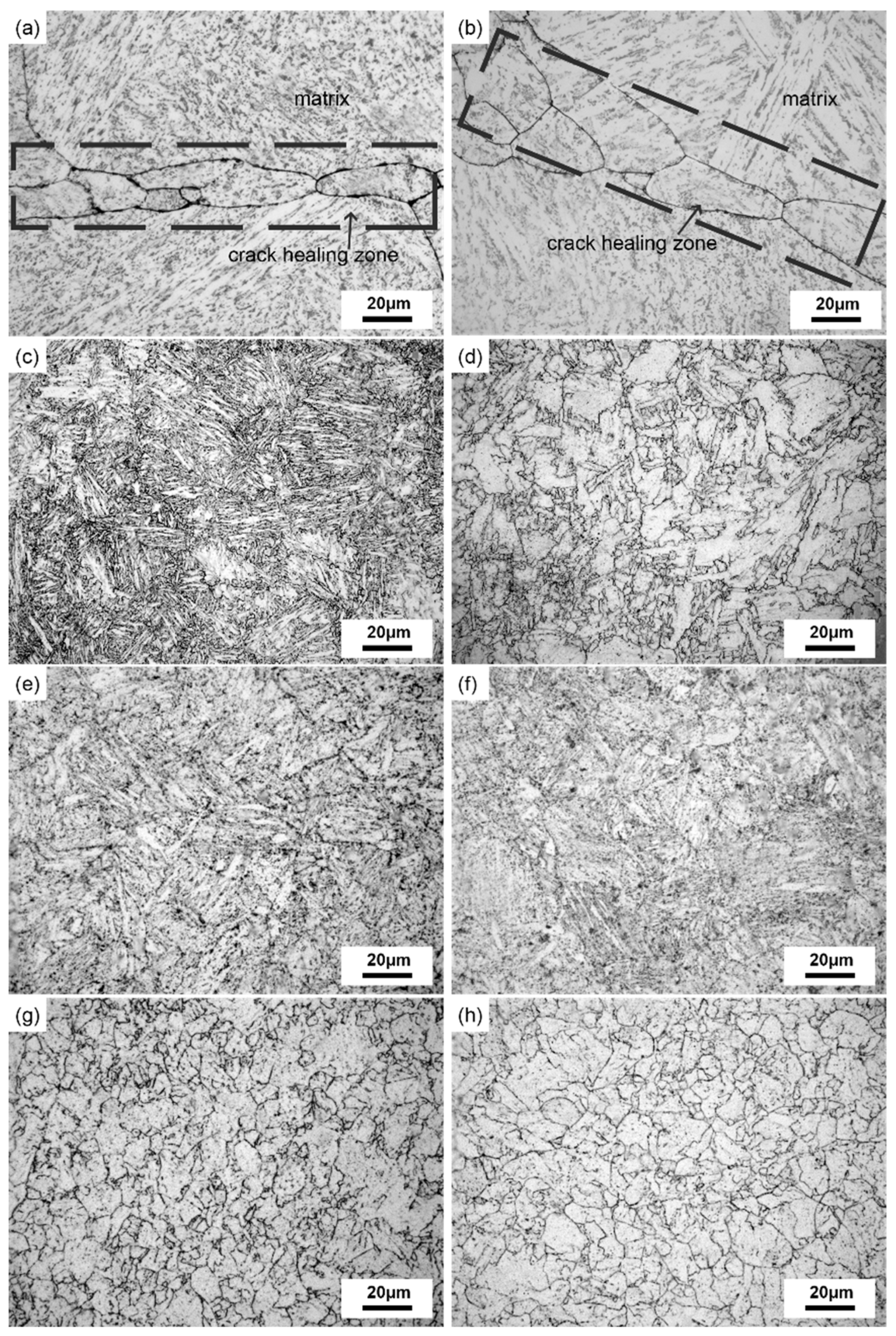 Metals 10 00427 g003