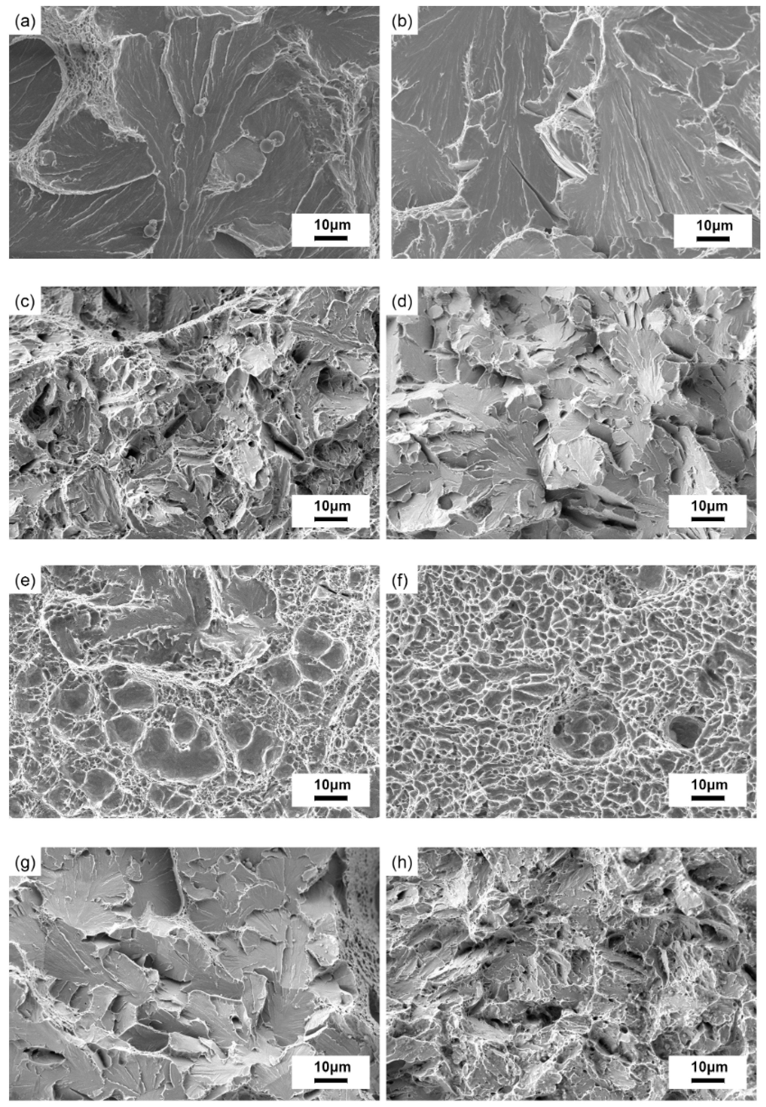 Metals 10 00427 g005