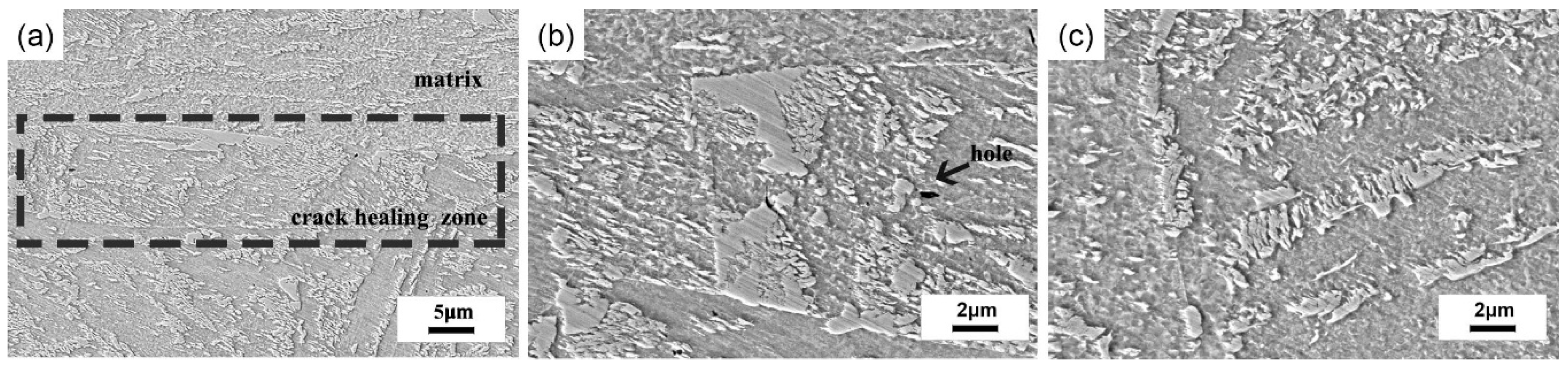 Metals 10 00427 g006