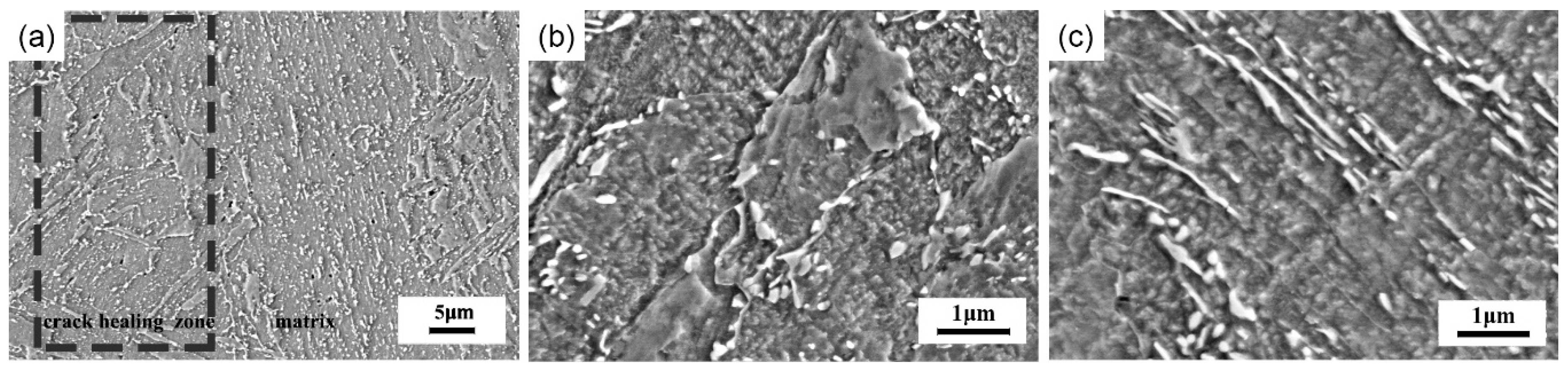 Metals 10 00427 g007