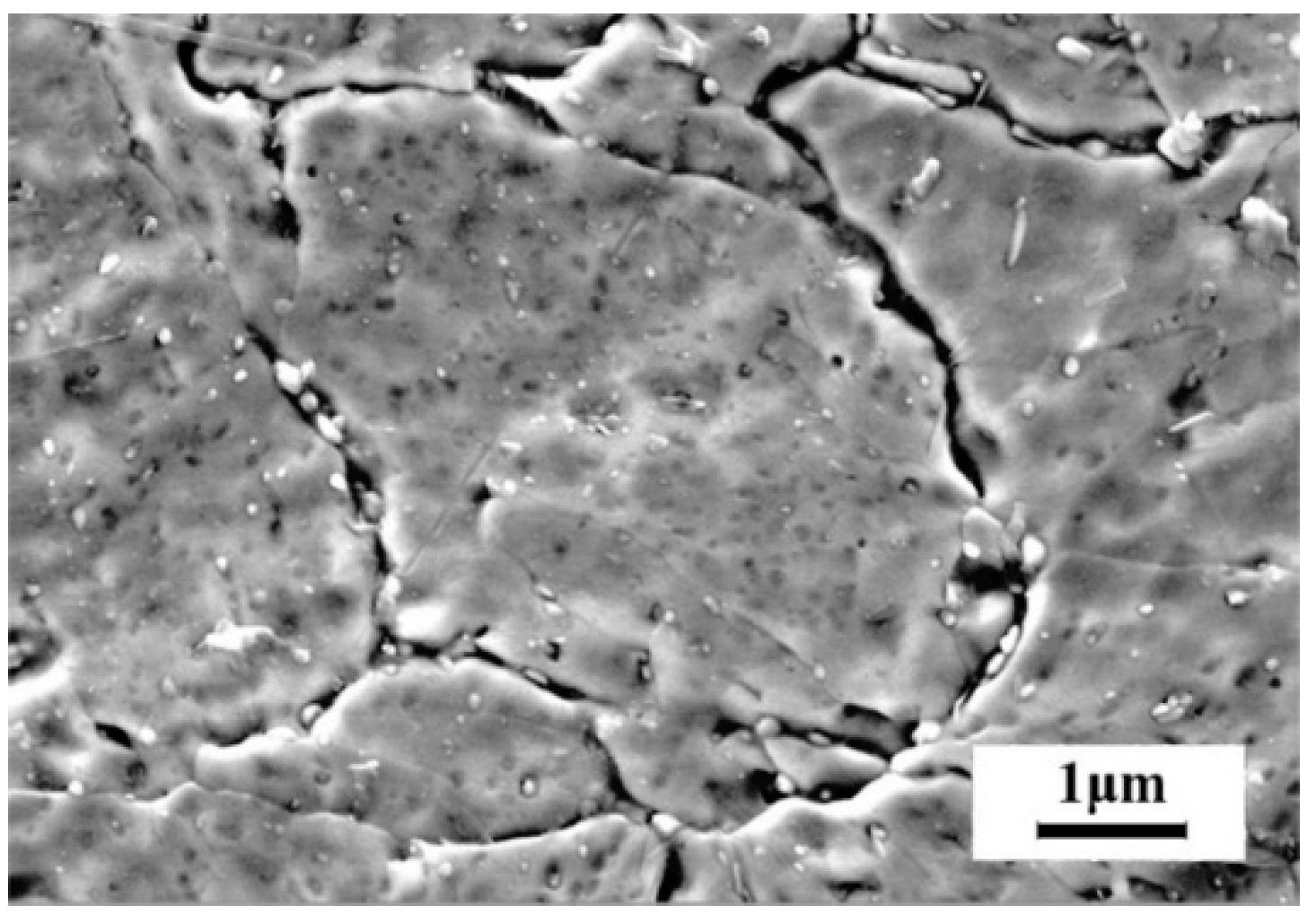 Metals 10 00427 g008