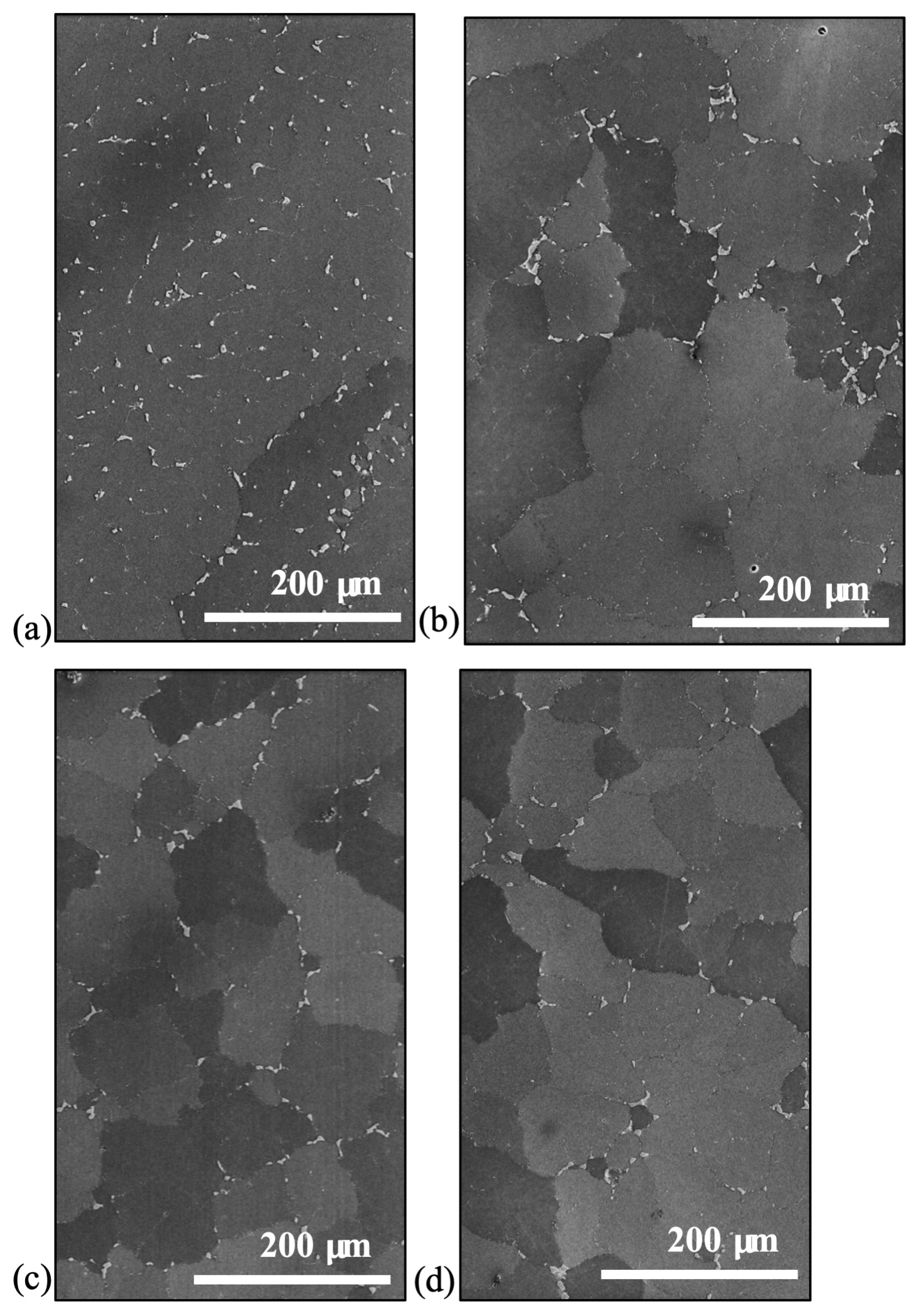 Metals 10 00430 g002