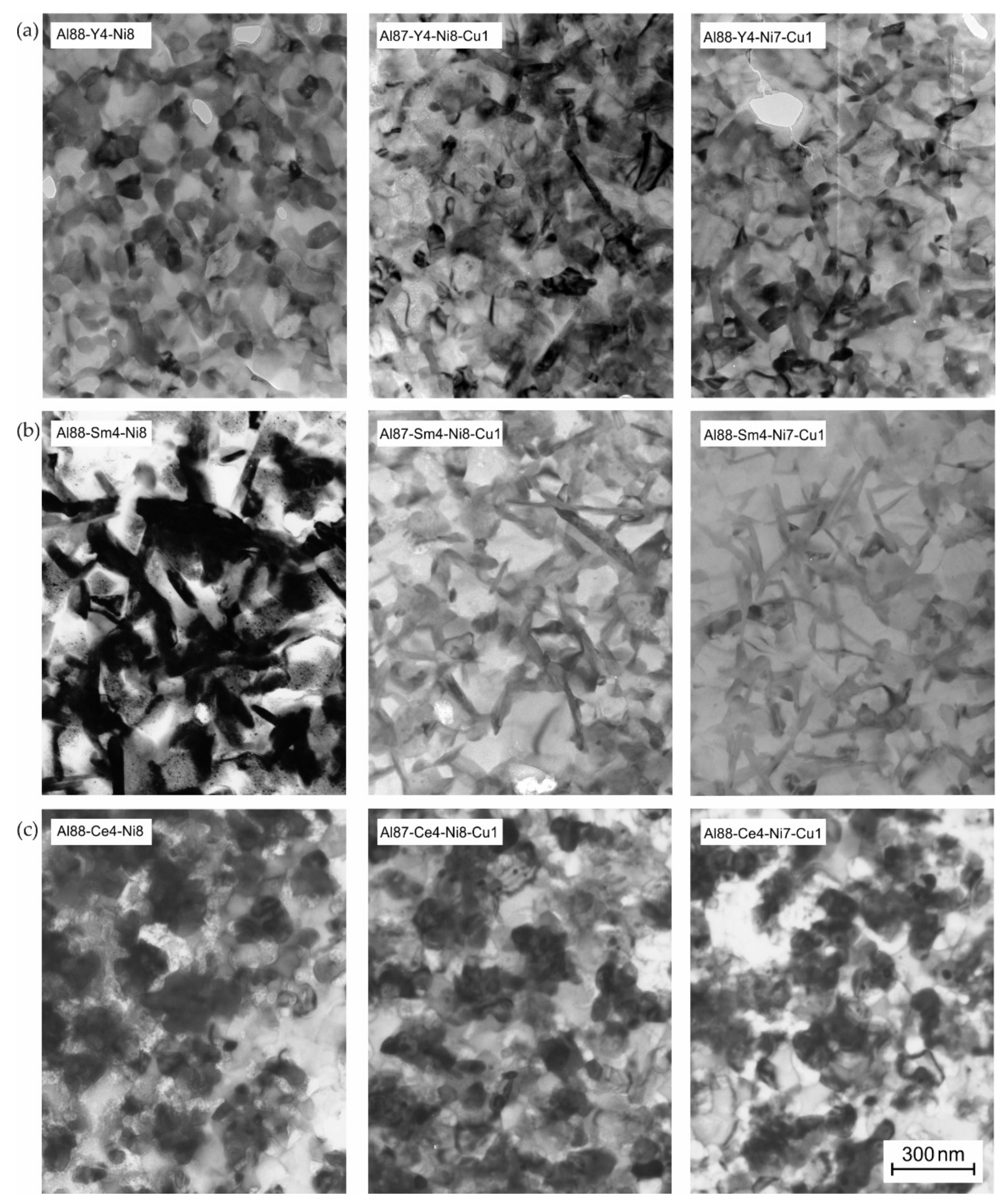 Metals 10 00443 g010